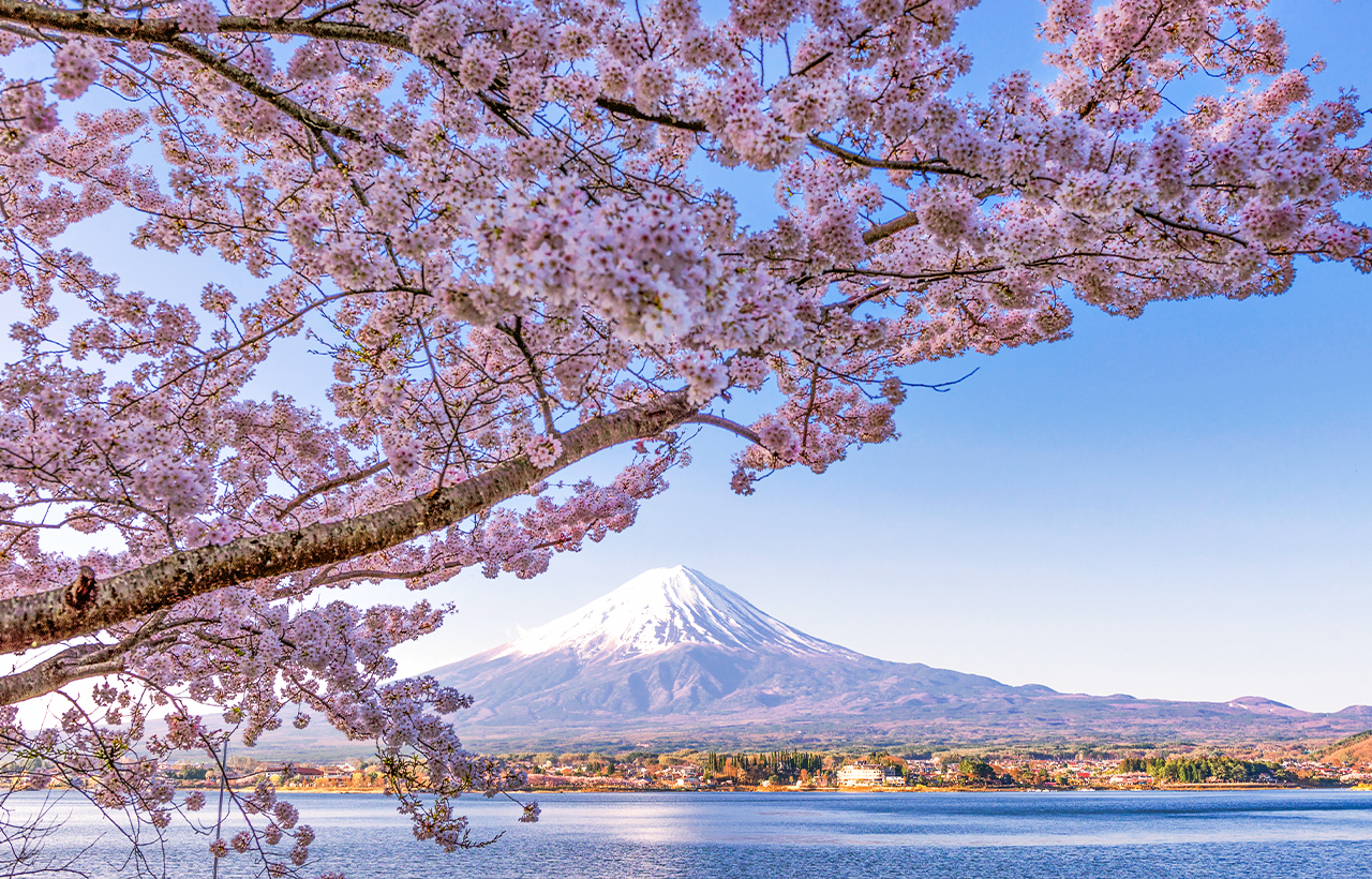 富士山探索之旅｜新倉山淺間公園·天梯小鎮·忍野八海·河口湖大石公園·西湖療愈里根場一日遊