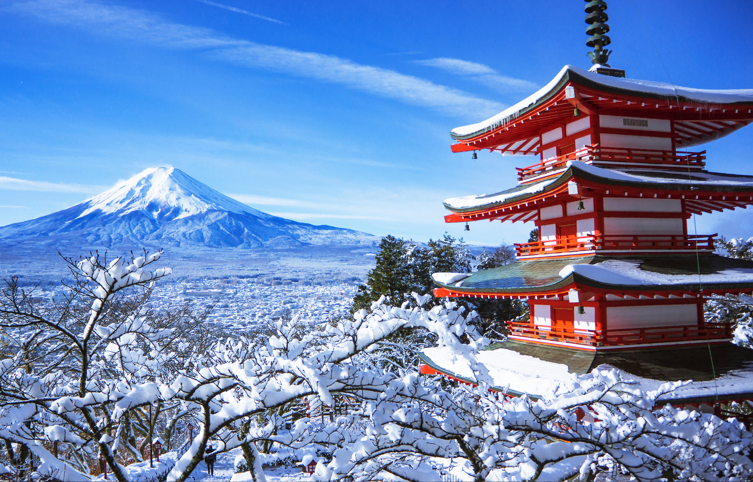 冬天與雪頂富士同框也別有一番風味