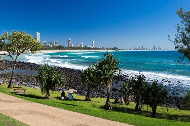 Gold Coast Whale Watching & Coastal Highlights Chinese Day Tour