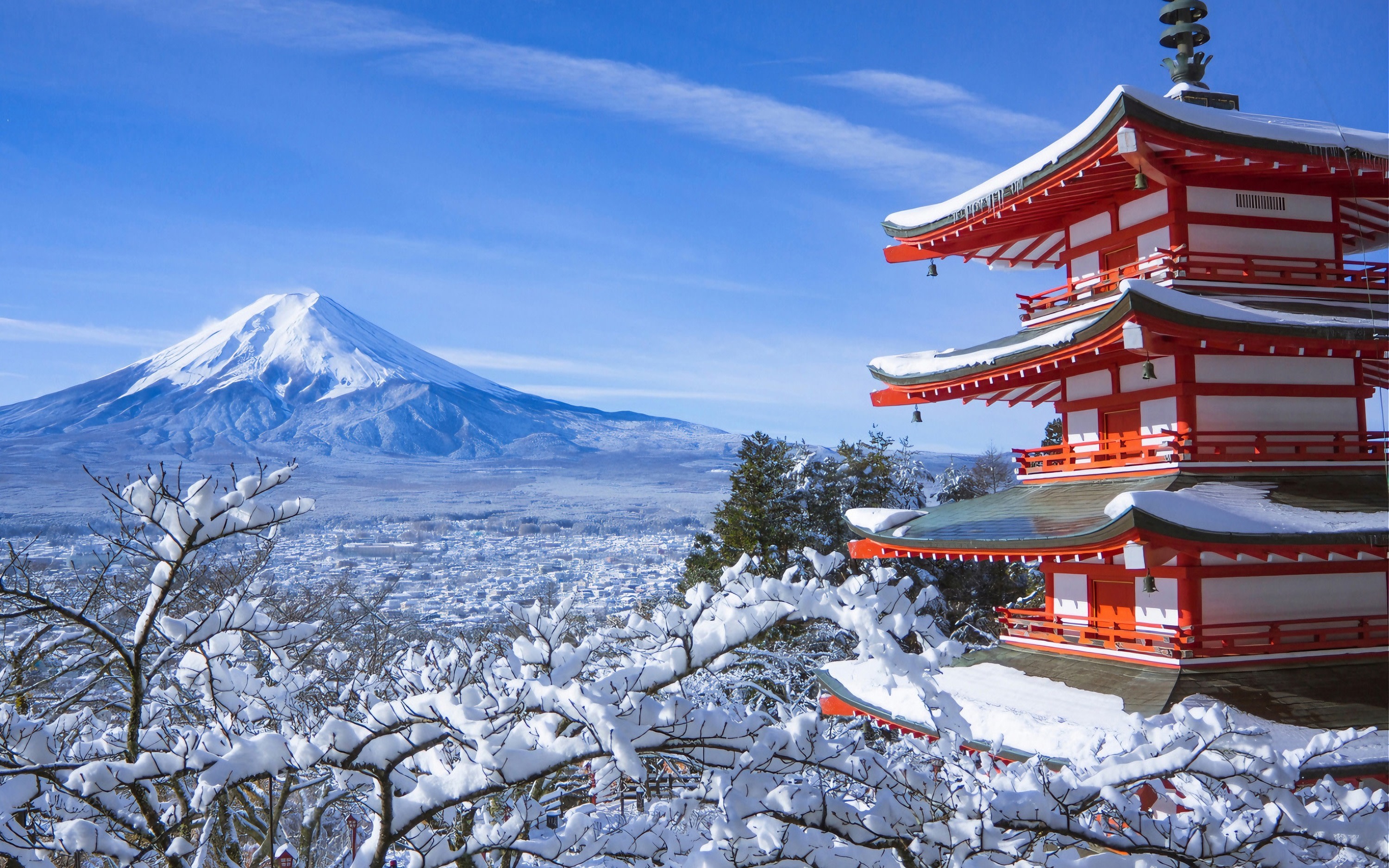 [Mount Fuji Popular Spots Day Tour] Arakurayama Sengen Park & Lake Kawaguchi Oishi Park & Oshino Hakkai & Lawson & Hikawa Clock Shop (Departure from Tokyo)