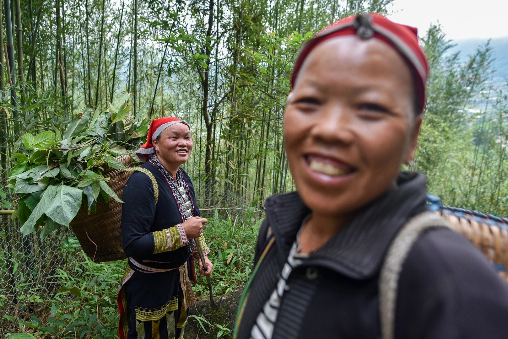 沙巴：紅瑤族草藥足浴和採葉之旅