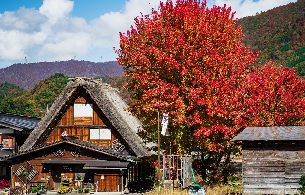 飛驒高山&白川鄉合掌村落&宮川朝市&古街漫步