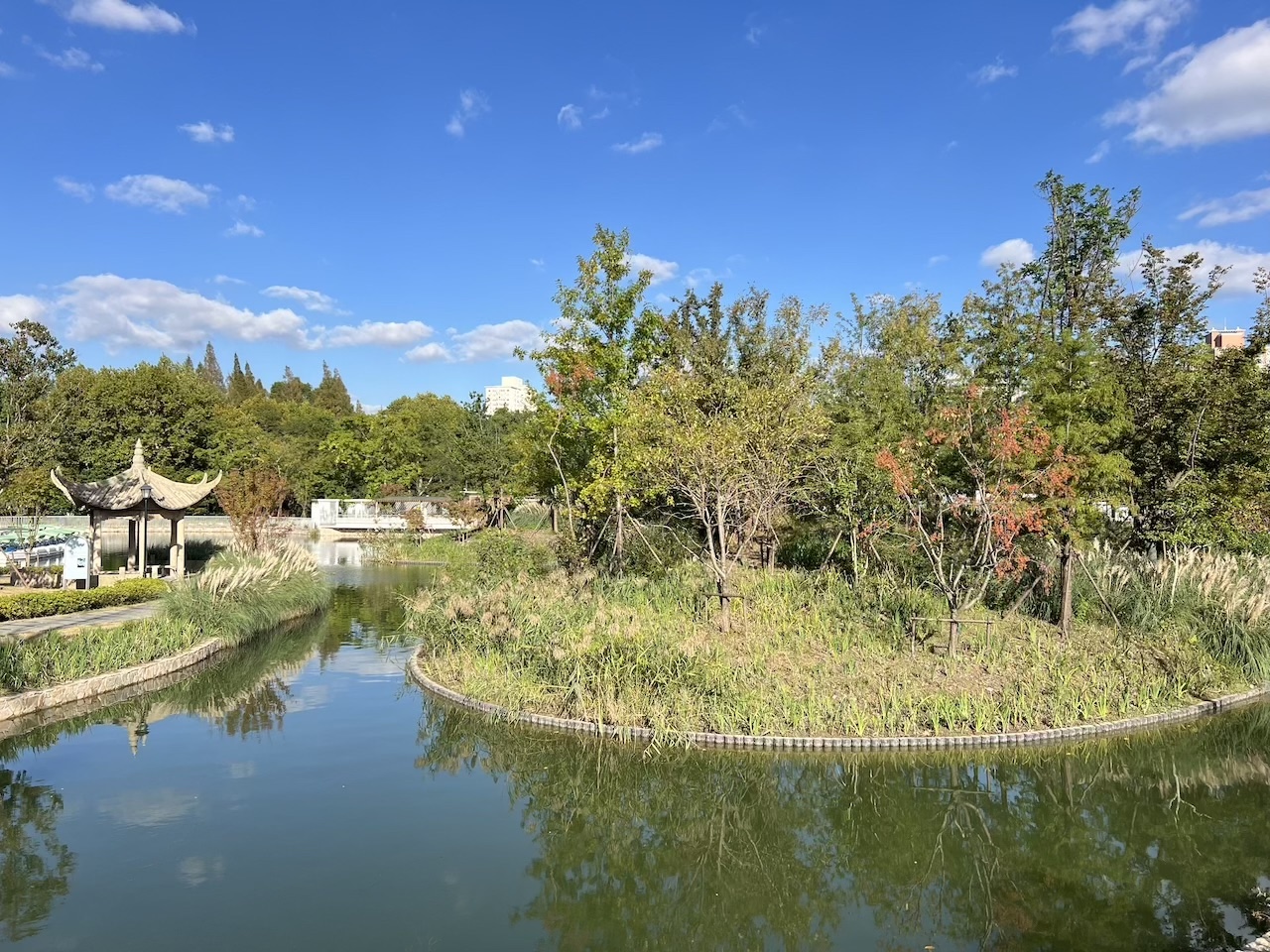 公園太極後吃當地早點，體驗中國傳統養生文化 - Eatwith