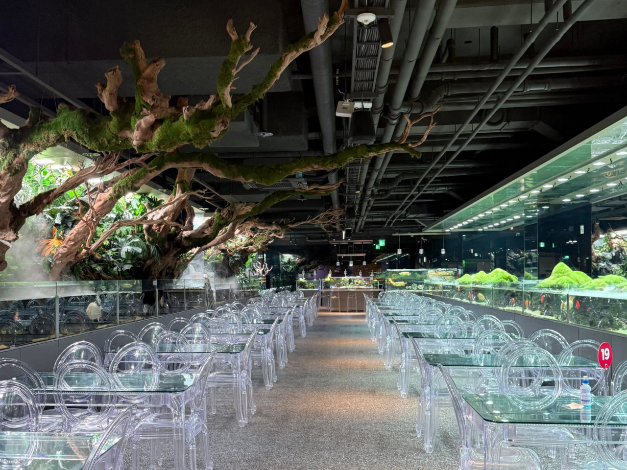 遊客可以在這裡一邊品嚐咖啡,一邊欣賞水下風光。咖啡廳周圍環繞著大型水箱,生動地再現了自然水生生態系統,讓遊客在場館的任何地方都能獲得豐富的視覺體驗。 遊客可以在這裡一邊品嚐咖啡,一邊欣賞水下風光。咖啡廳周圍環繞著大型水箱,生動地再現了自然水生生態系統,讓遊客在場館的任何地方都能獲得豐富的視覺體驗。