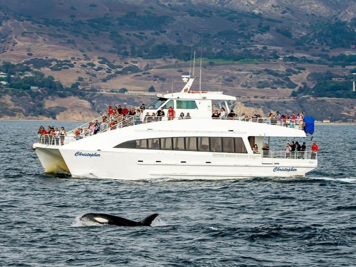 Smiling family on deck enjoying scenic ocean views and marine wildlife sightings together