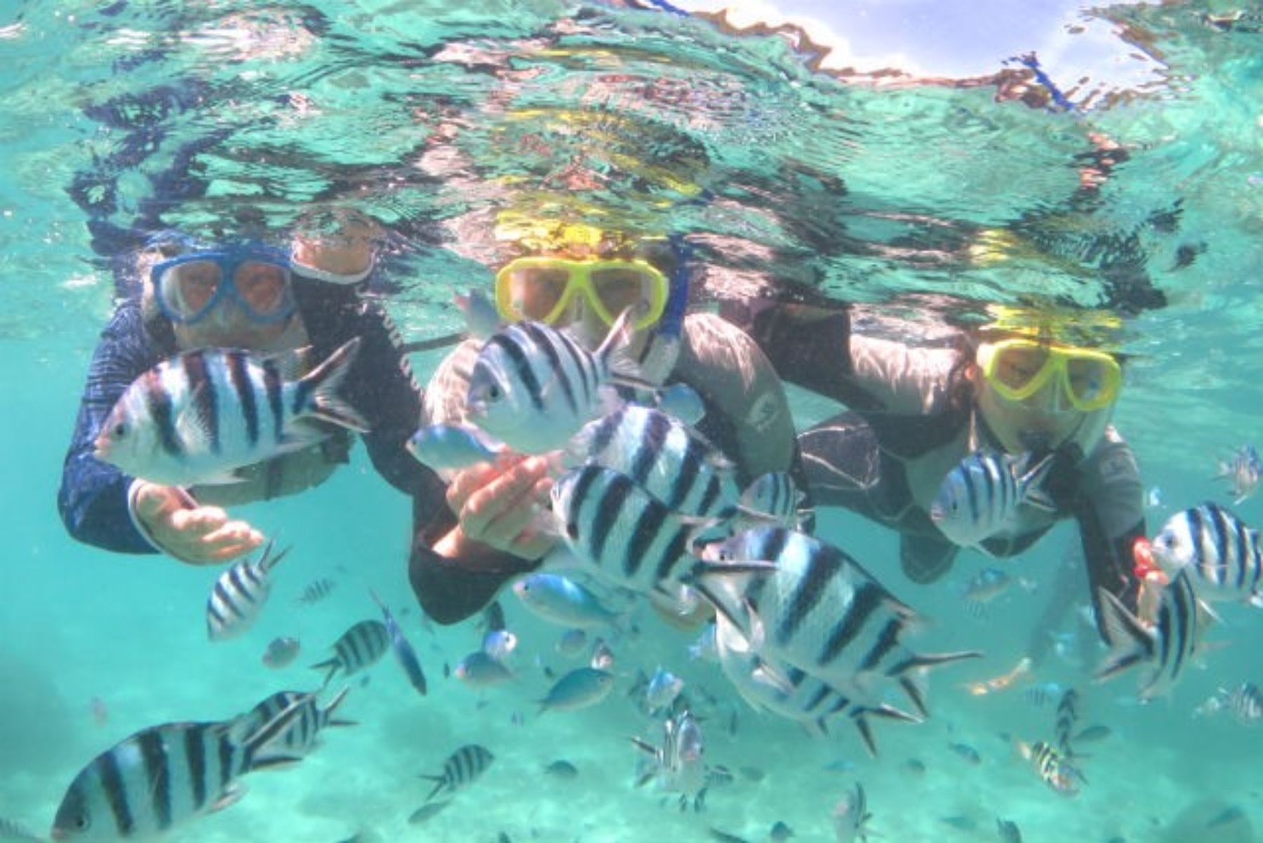 Okinawa Ashbee Blue
