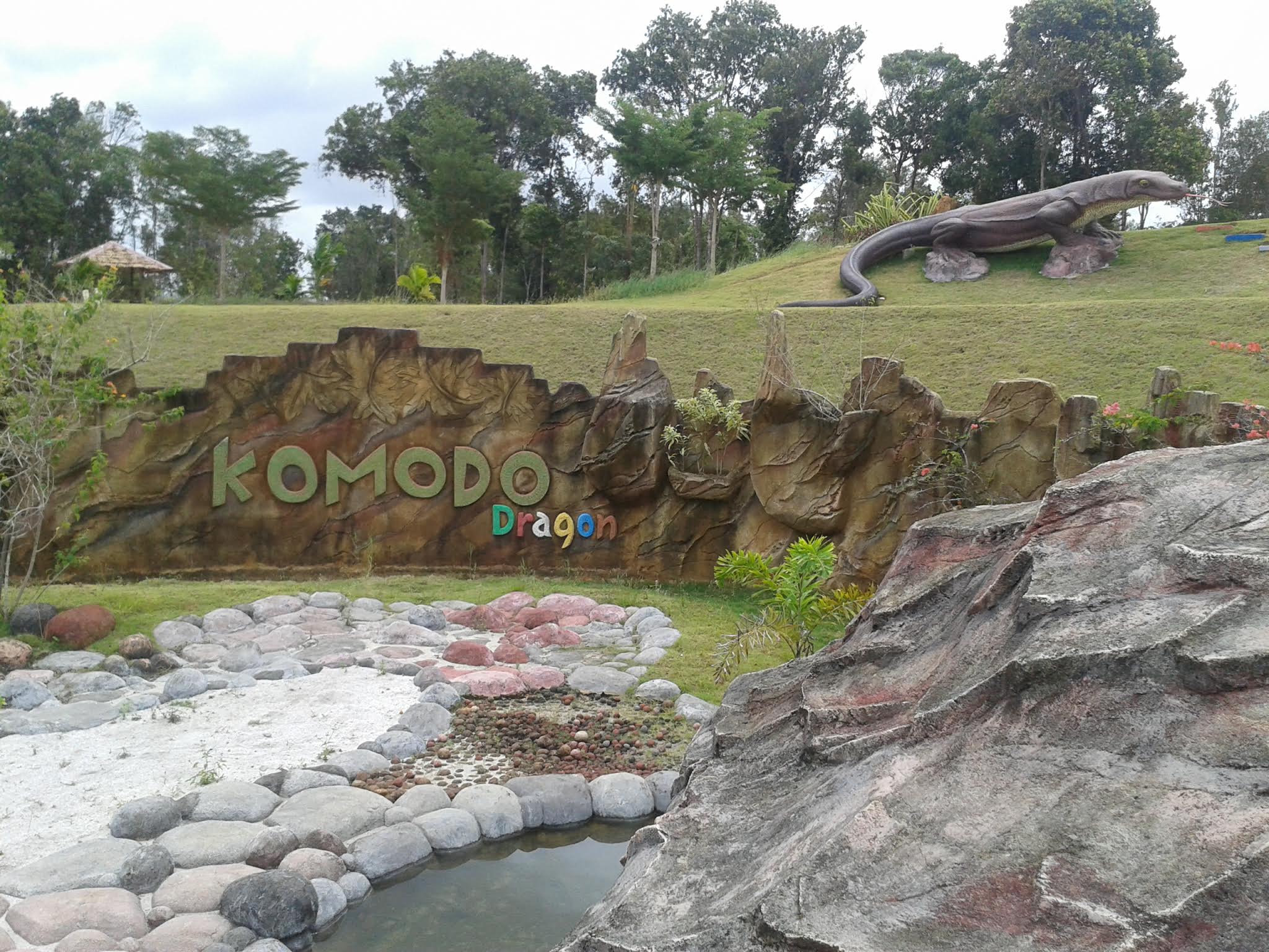 科莫多島龍 科莫多島龍