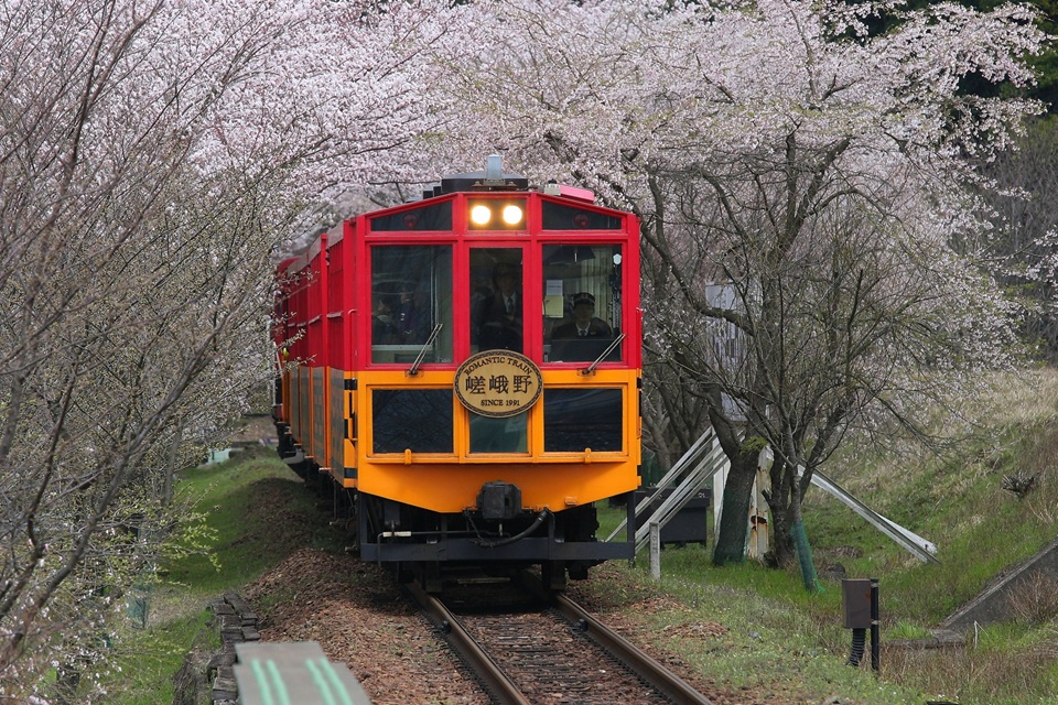 Kansai popular attractions Osaka Katsuoji Temple, Kyoto Arashiyama, Uji Byodoin Temple one-day tour | Optional exclusive A5 premium Kobe beef (depart from Osaka)