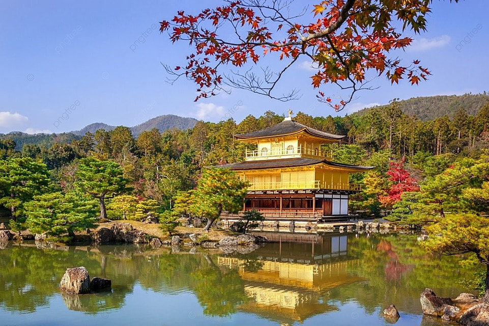 金閣寺、嵐山、奈良公園與伏見稻荷大社一日遊