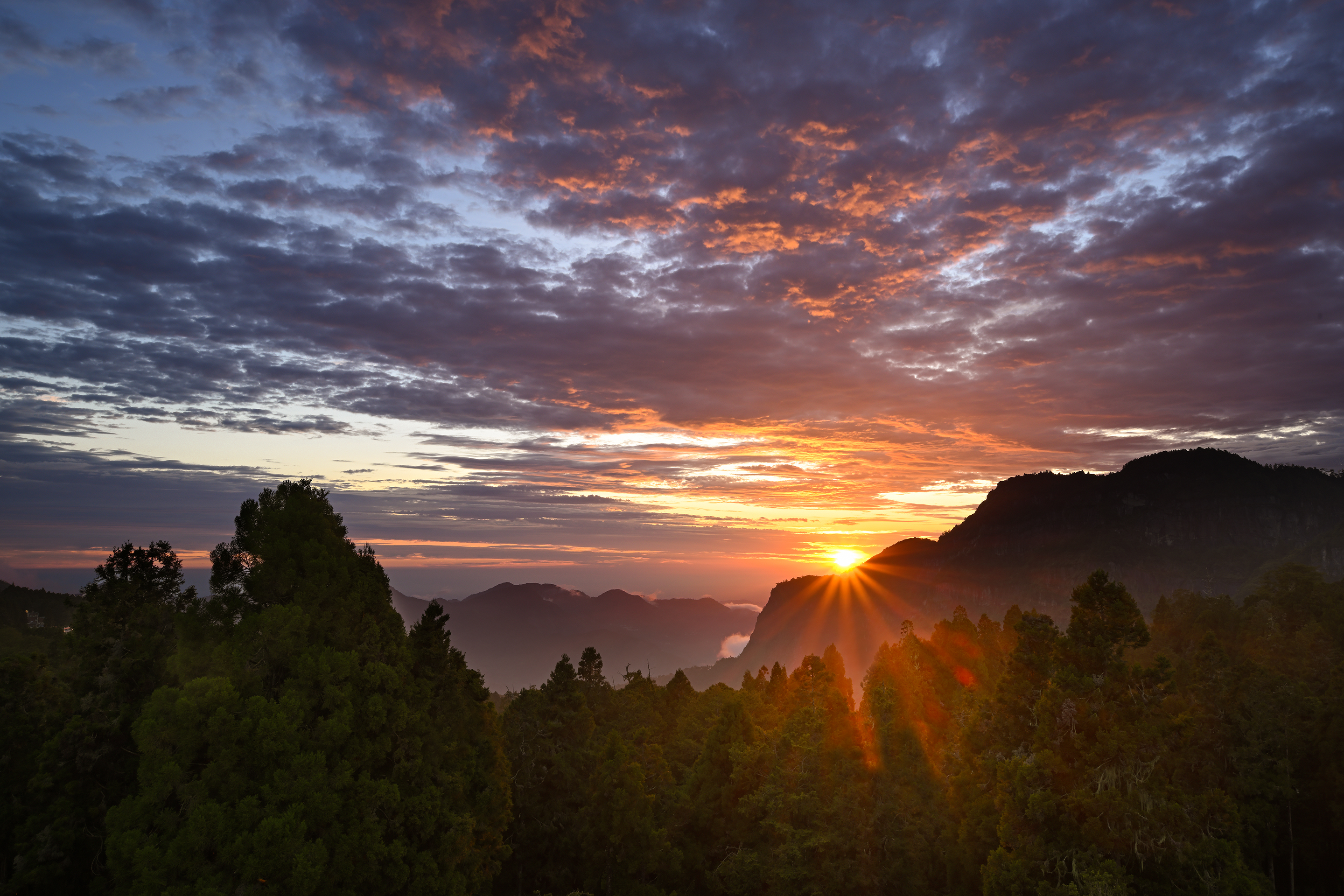 Alishan Alishan