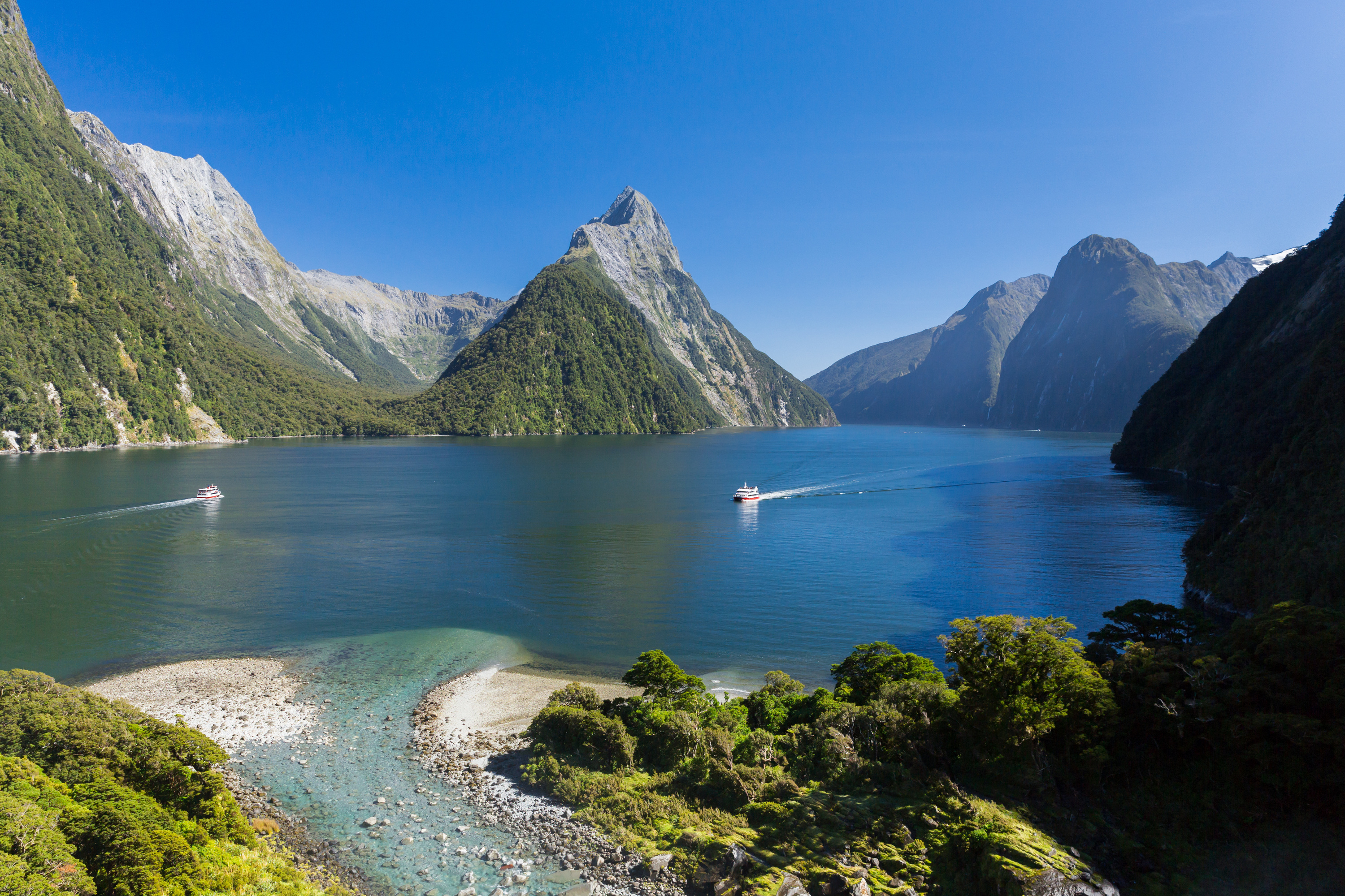 milford sound day tour