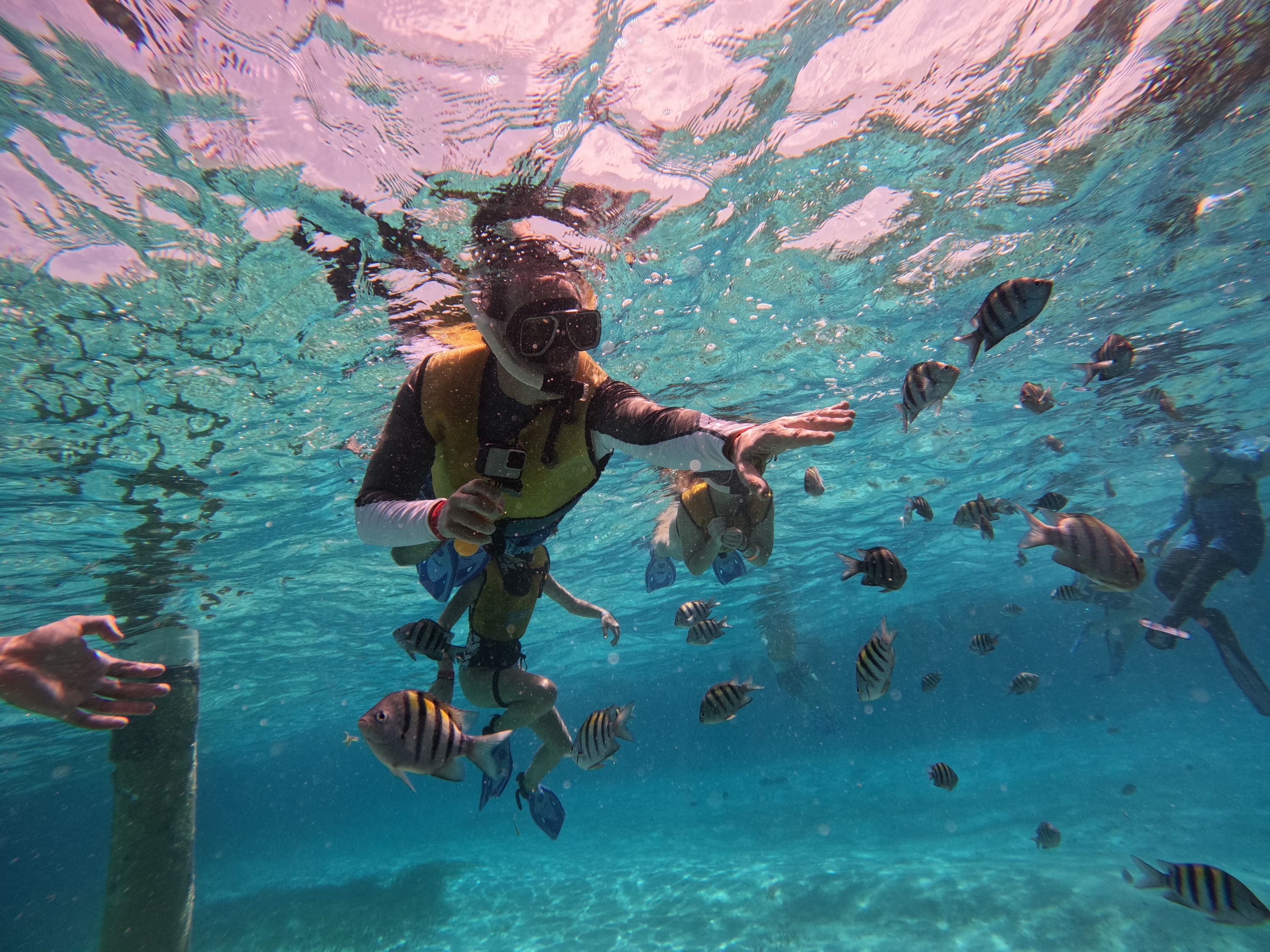 5-in-1 Snorkeling Tour with Turtles, Reefs, Musa, Shipwreck