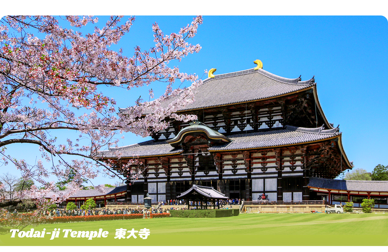 東大寺是世界最大的木造建築,供奉高達15米的奈良大佛,展現日本古代宗教與建築藝術的輝煌。 東大寺是世界最大的木造建築,供奉高達15米的奈良大佛,展現日本古代宗教與建築藝術的輝煌。