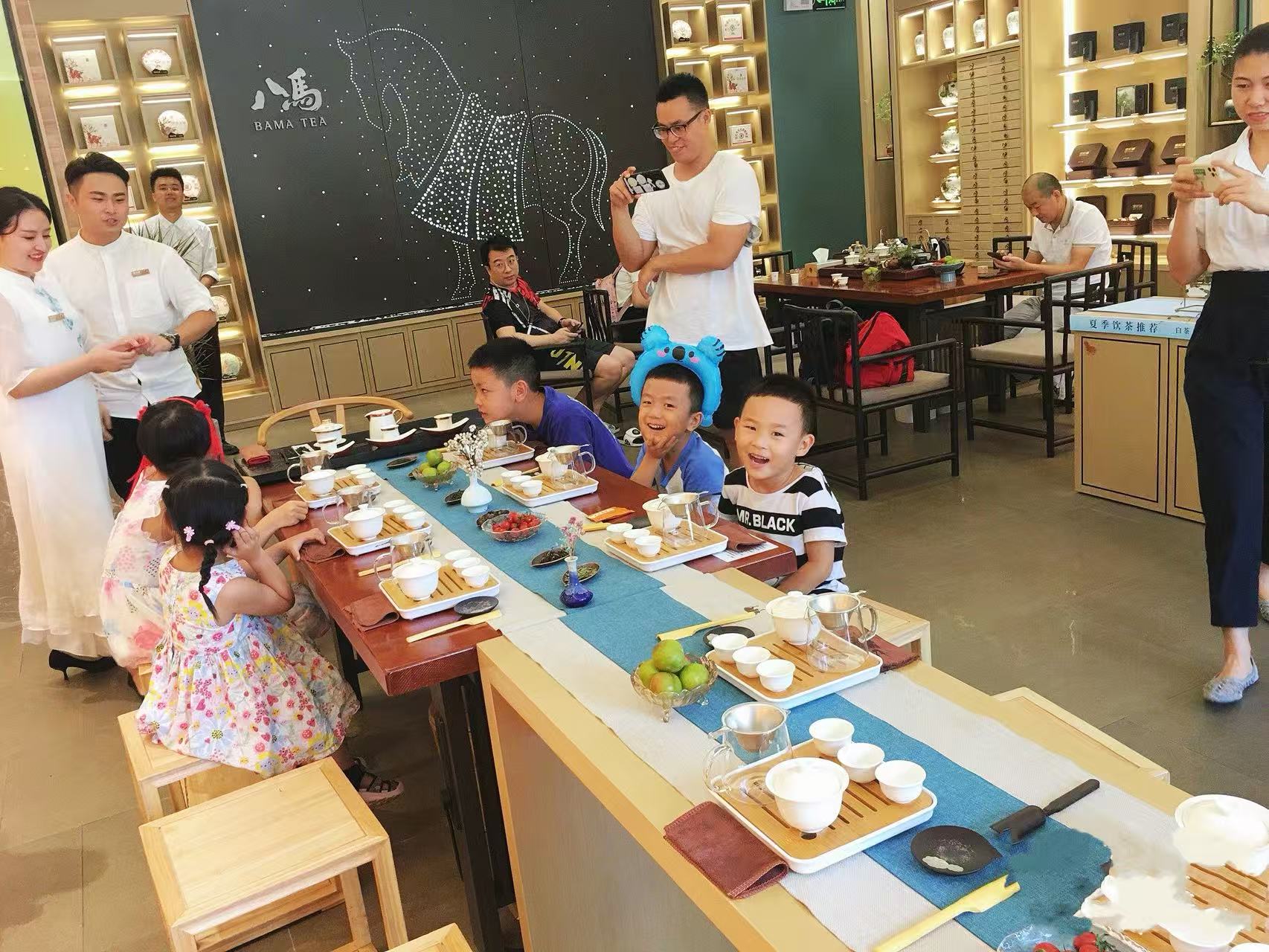 Luohu Vanke Little Tea Master Half-Day Tour