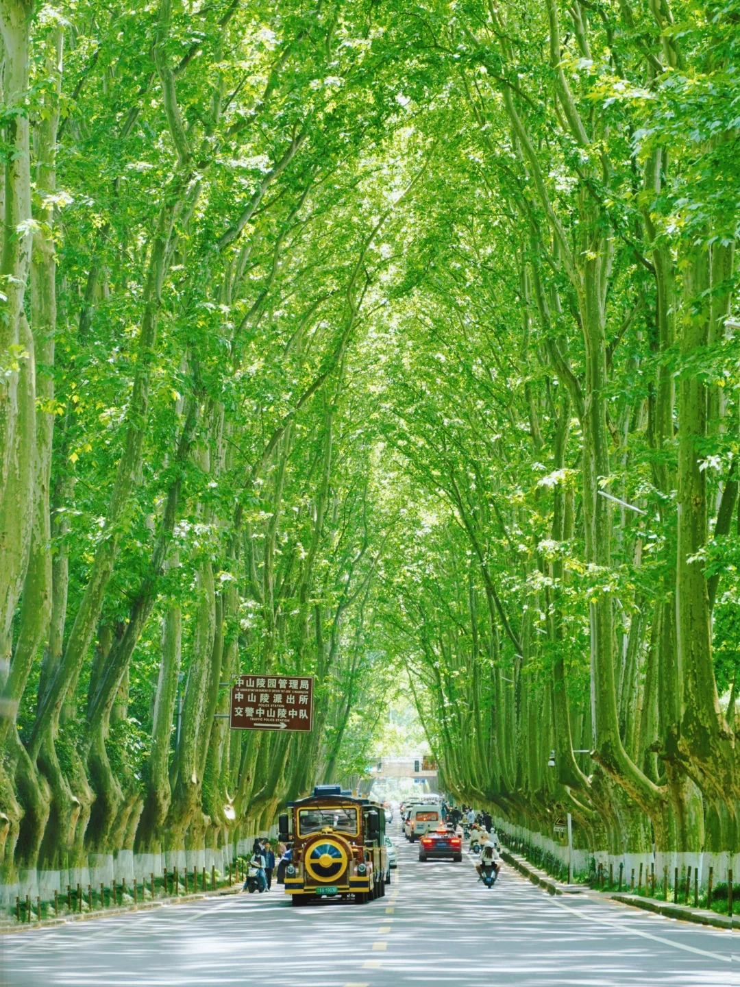 南京民國說一日遊