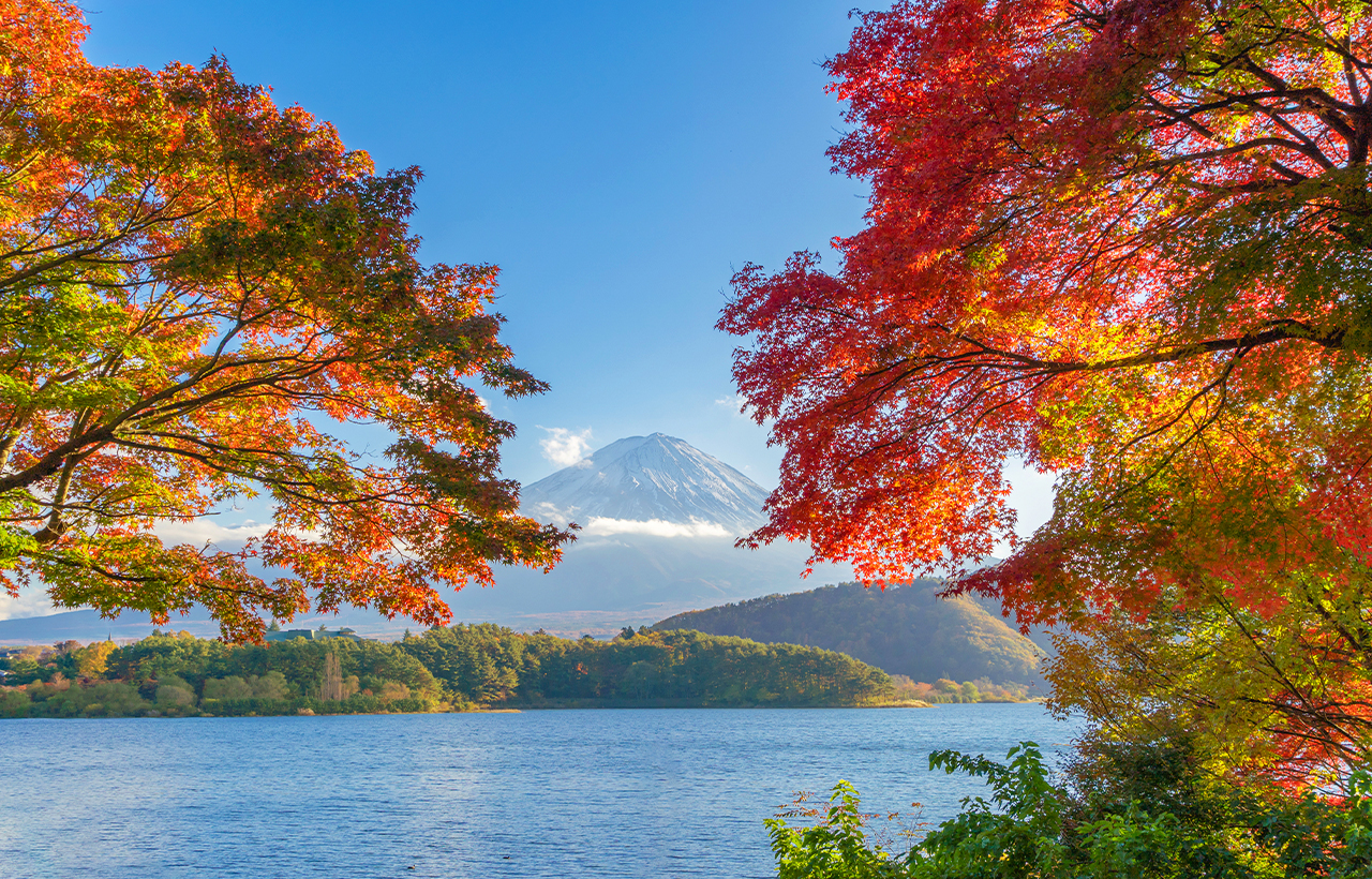 網紅打卡勝地-新倉山淺間公園&日川時計店&忍野八海&河口湖大石公園&河口湖楓葉迴廊