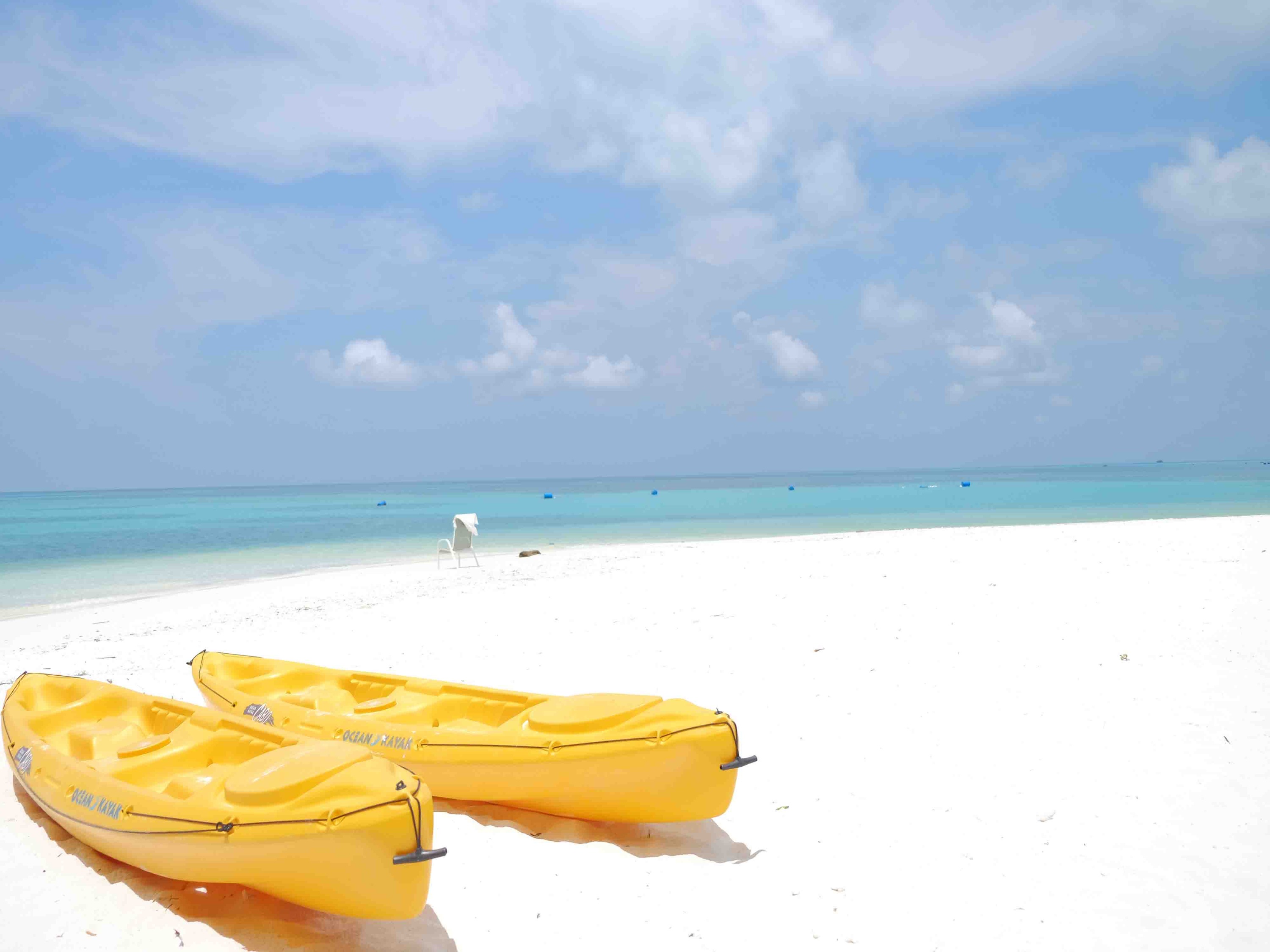 Private Mengalum Island Snorkeling with Mangrove Firefly Cruise