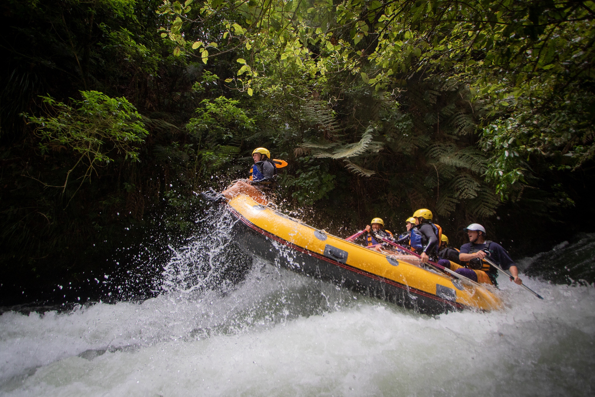 Kaituna Whitewater Rafting Experience