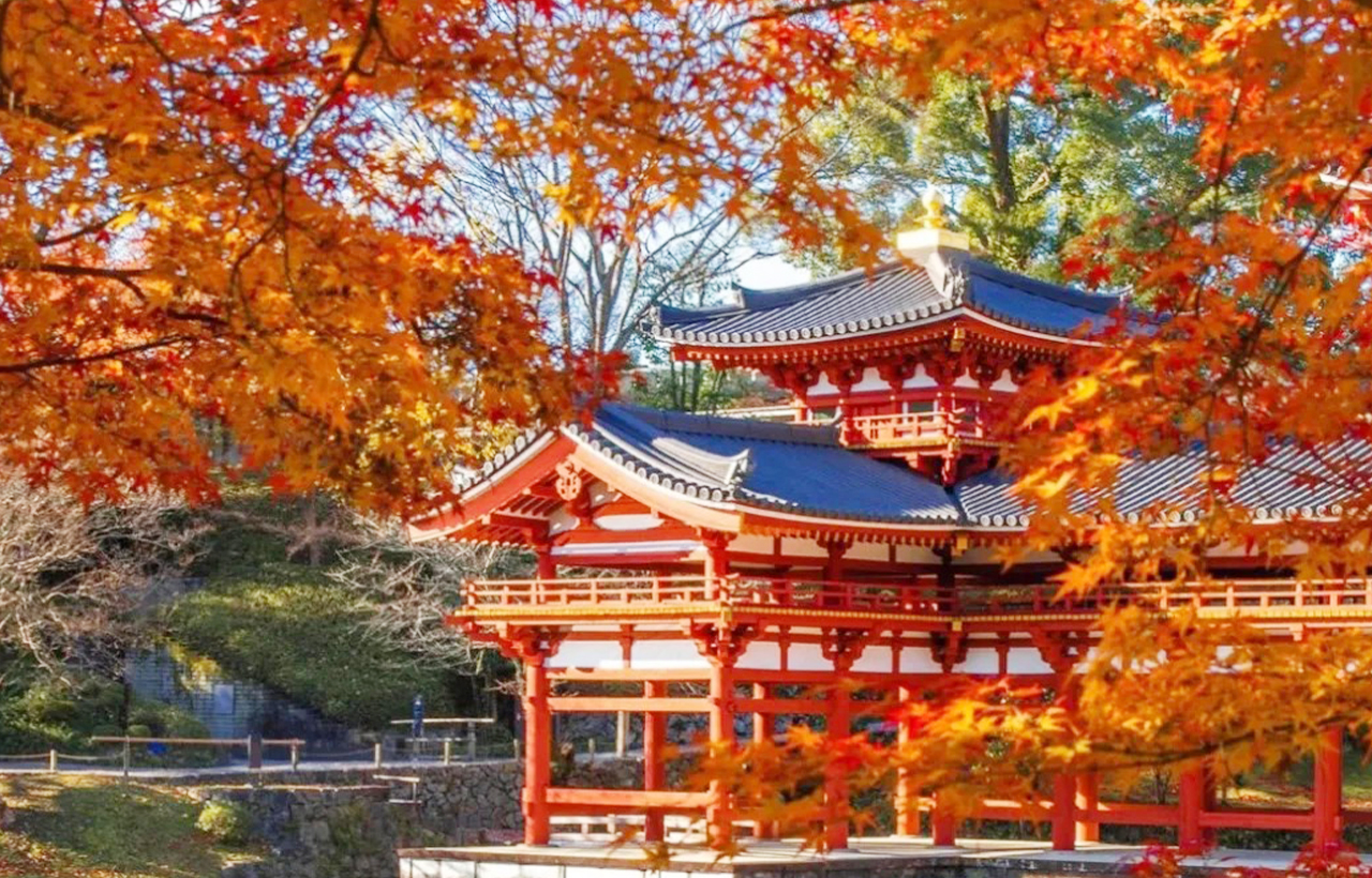 平等院位於京都,是一座歷史悠久的佛教寺廟,以鳳凰堂聞名,建築精美,周圍庭園寧靜,展示了古代日本的藝術與文化魅力。 平等院位於京都,是一座歷史悠久的佛教寺廟,以鳳凰堂聞名,建築精美,周圍庭園寧靜,展示了古代日本的藝術與文化魅力。