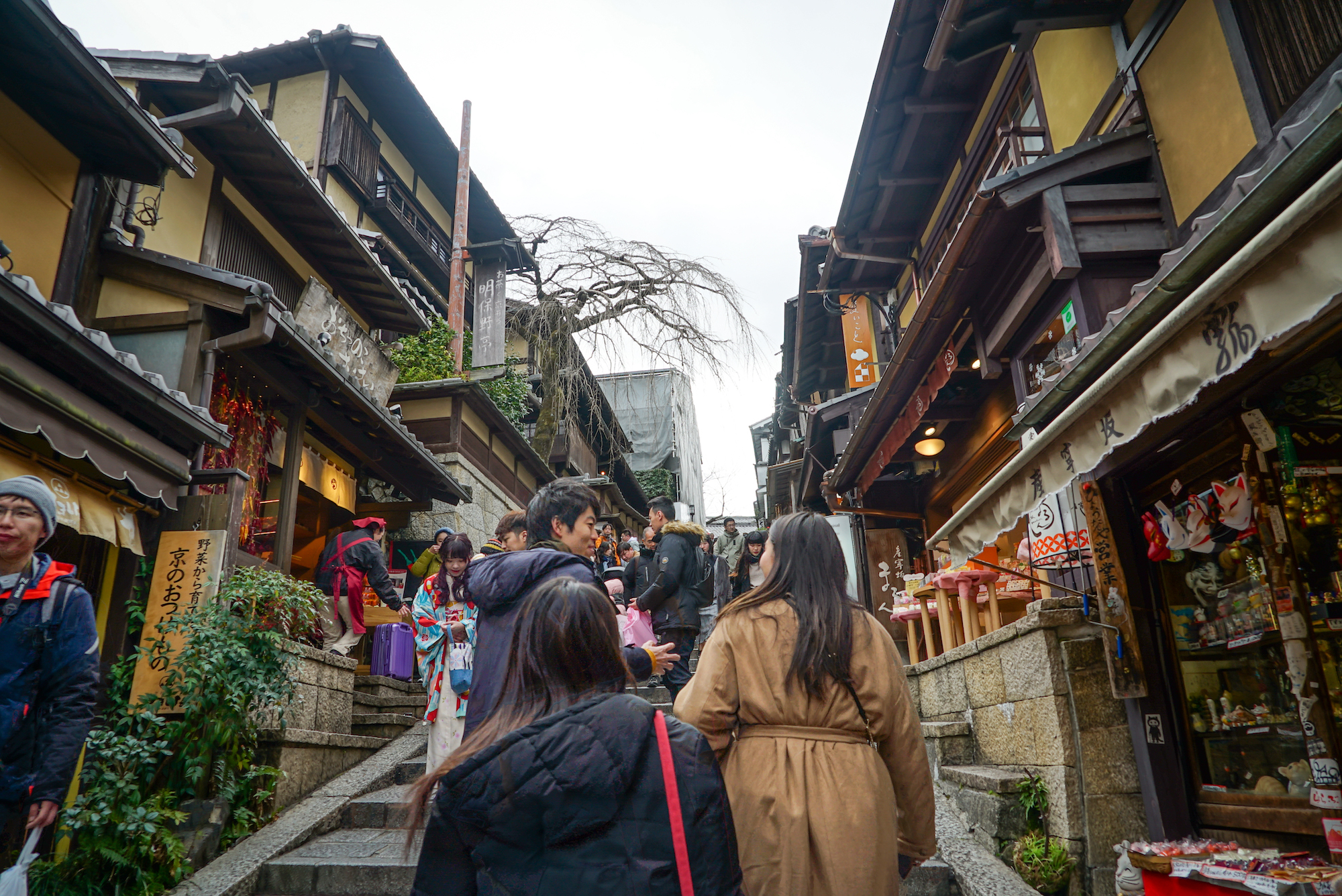 京都茶道 & 清水寺徒步之旅