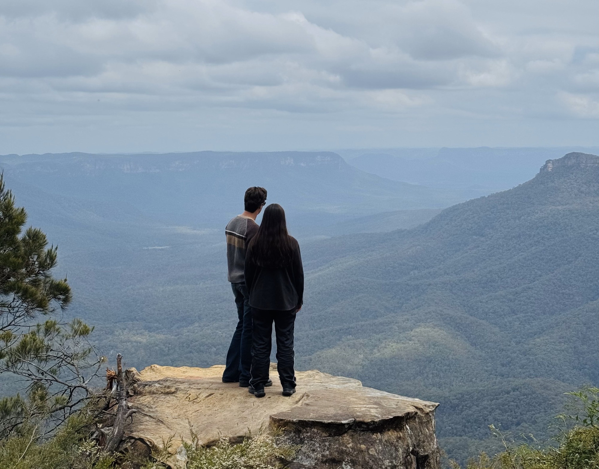 Australian Wildlife, Blue Mountains & Scenic World Private Tour