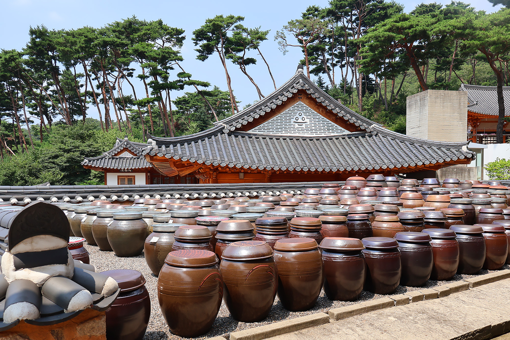 📸 津寬寺是體驗韓國傳統美學的理想路線。