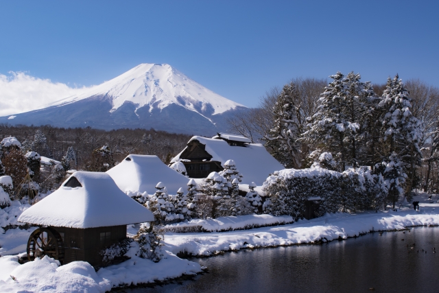 富士山山中湖冬季一日遊（東京出發）