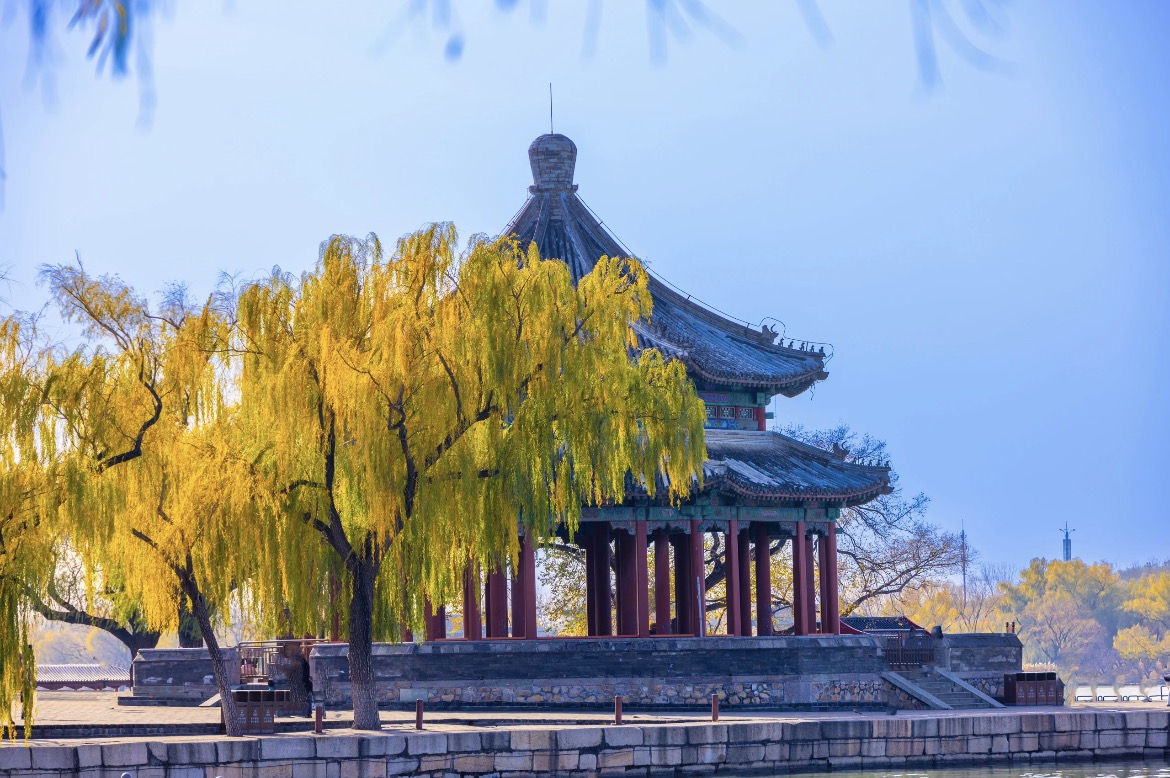 秋日裡，頤和園的臨水古亭被金黃的垂柳簇擁成框，澄澈的藍天懸於上空，勾勒出一幅盡顯中式古典園林之美的靜謐寫意畫卷。