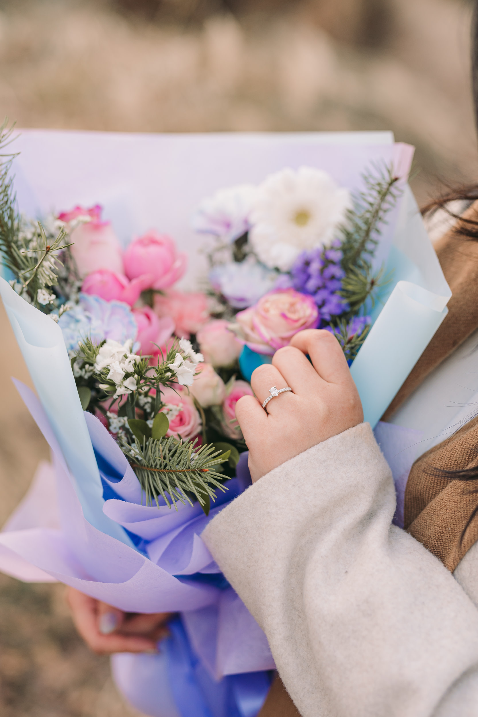 Surprise Proposal Photography & Planning