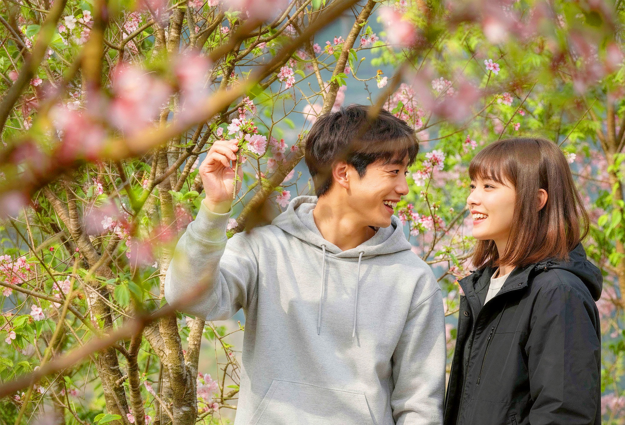 📸 欣賞漫山遍野的春花,感受萬象更新的氣息。 📸 欣賞漫山遍野的春花,感受萬象更新的氣息。