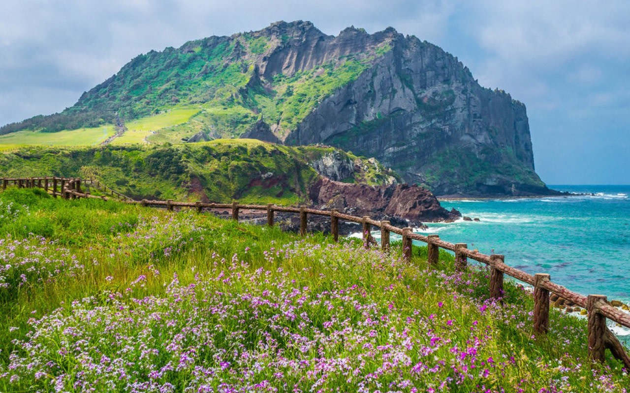 Hotel Pick up /Jeju UNESCO East Small Group Tour with Licensed Guide