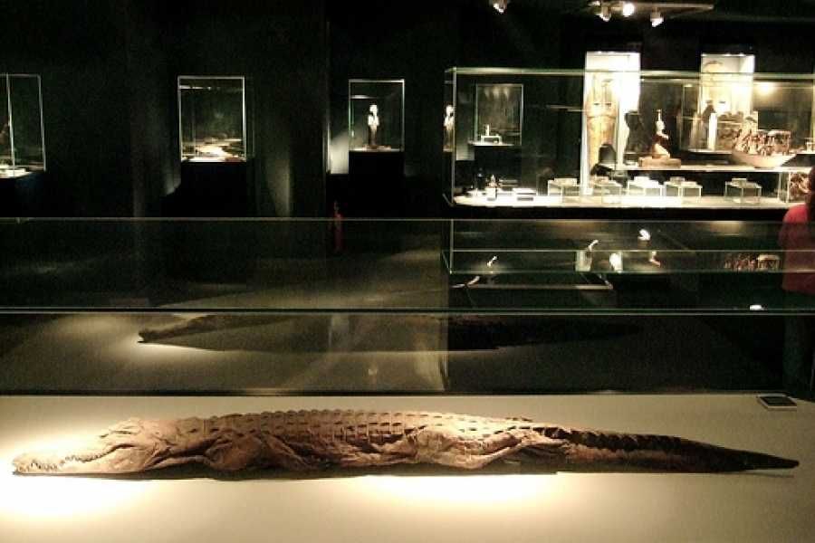 盧克索博物館和木乃伊博物館私人旅遊