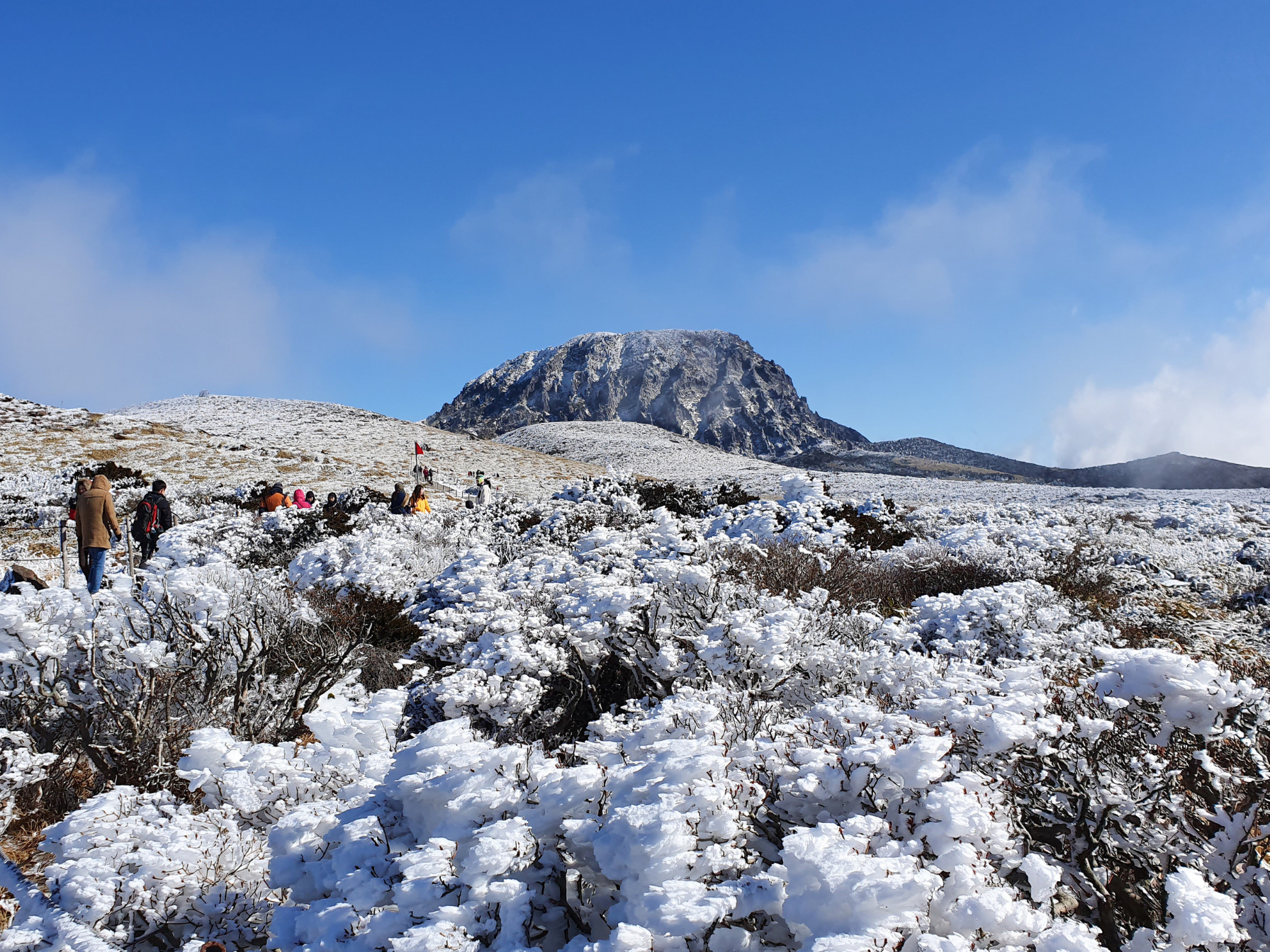 Jeju Island One Day Authentic Tour - WestSouth / East