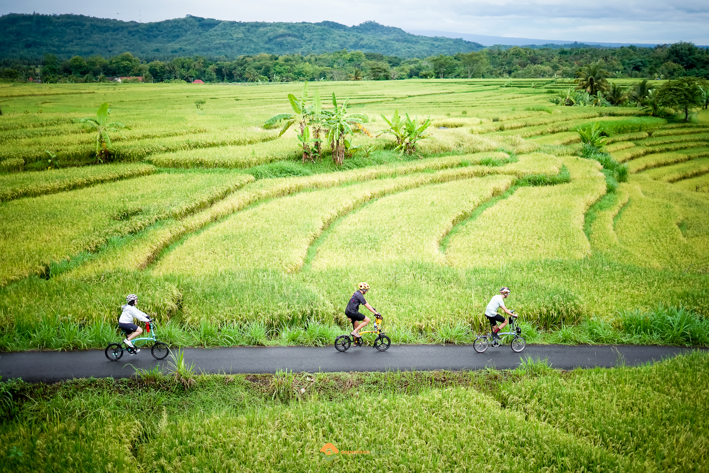 Yogyakarta Javanese Culture & Rice Paddies Half-Day Tour