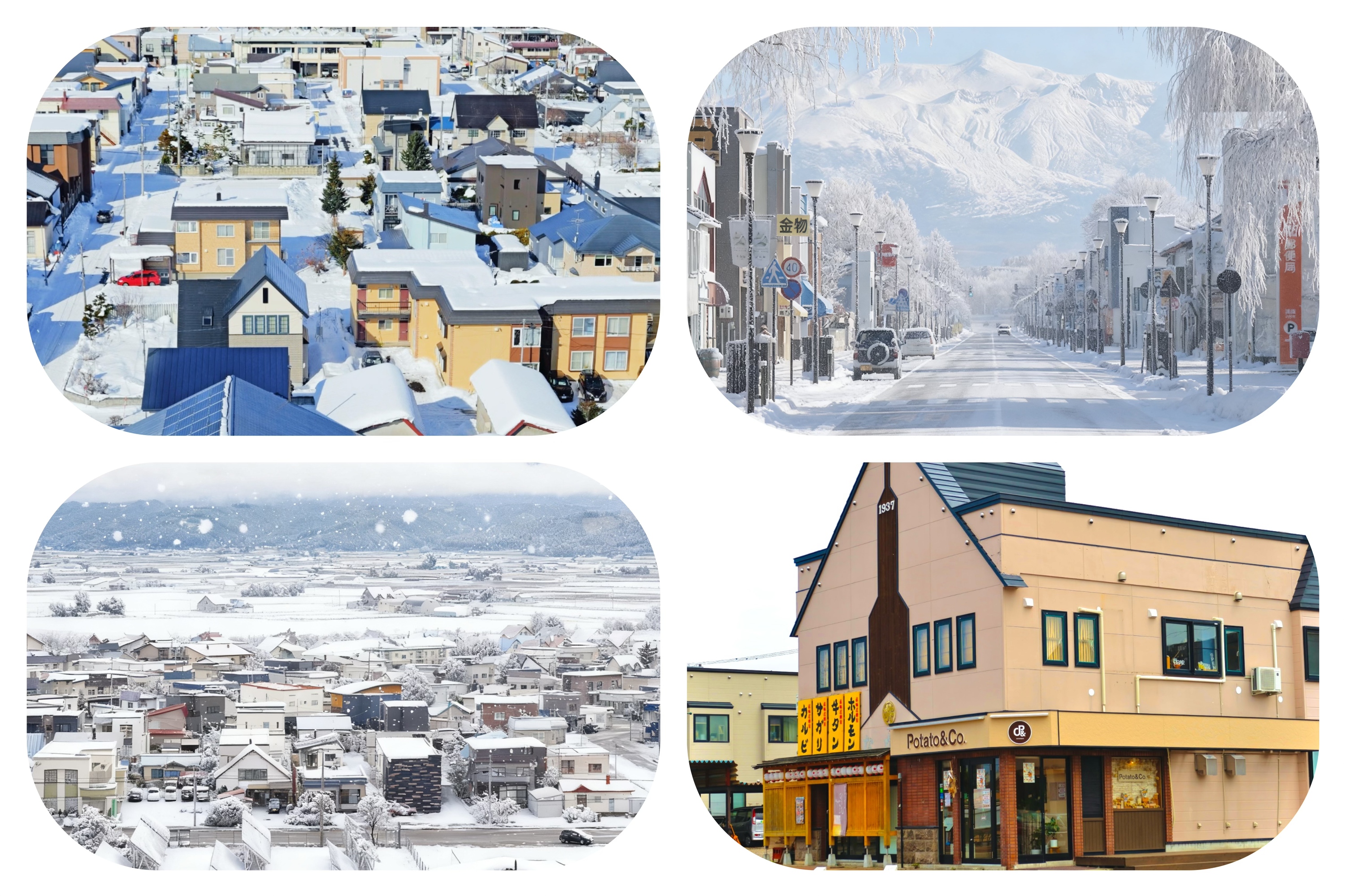 ✧⁺美瑛車站周邊聚集了多家日式餐廳，步行約七分鐘即可抵達四季之塔，登塔遠眺，小鎮風光盡收眼底：色彩斑斕的屋頂、穿梭其間的小貨車，以及遠方層巒疊嶂的十勝嶽，共同勾勒出一幅如夢似幻的畫卷。