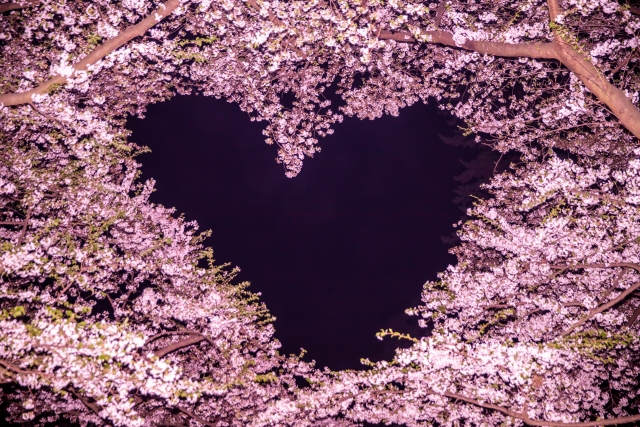 心形櫻花道 (期間限定PLAN4) 
在弘前公園內，有一處因空拍角度呈現愛心形狀而走紅的櫻花景點，被稱為“心形櫻花道”。每到春季，粉嫩櫻花在護城河與步道之間盛開，從空中俯瞰宛如一顆浪漫的愛心。這裡也成為遊客與攝影愛好者爭相打卡的熱門賞櫻地點，為弘前櫻花祭增添一份獨特的浪漫氛圍！