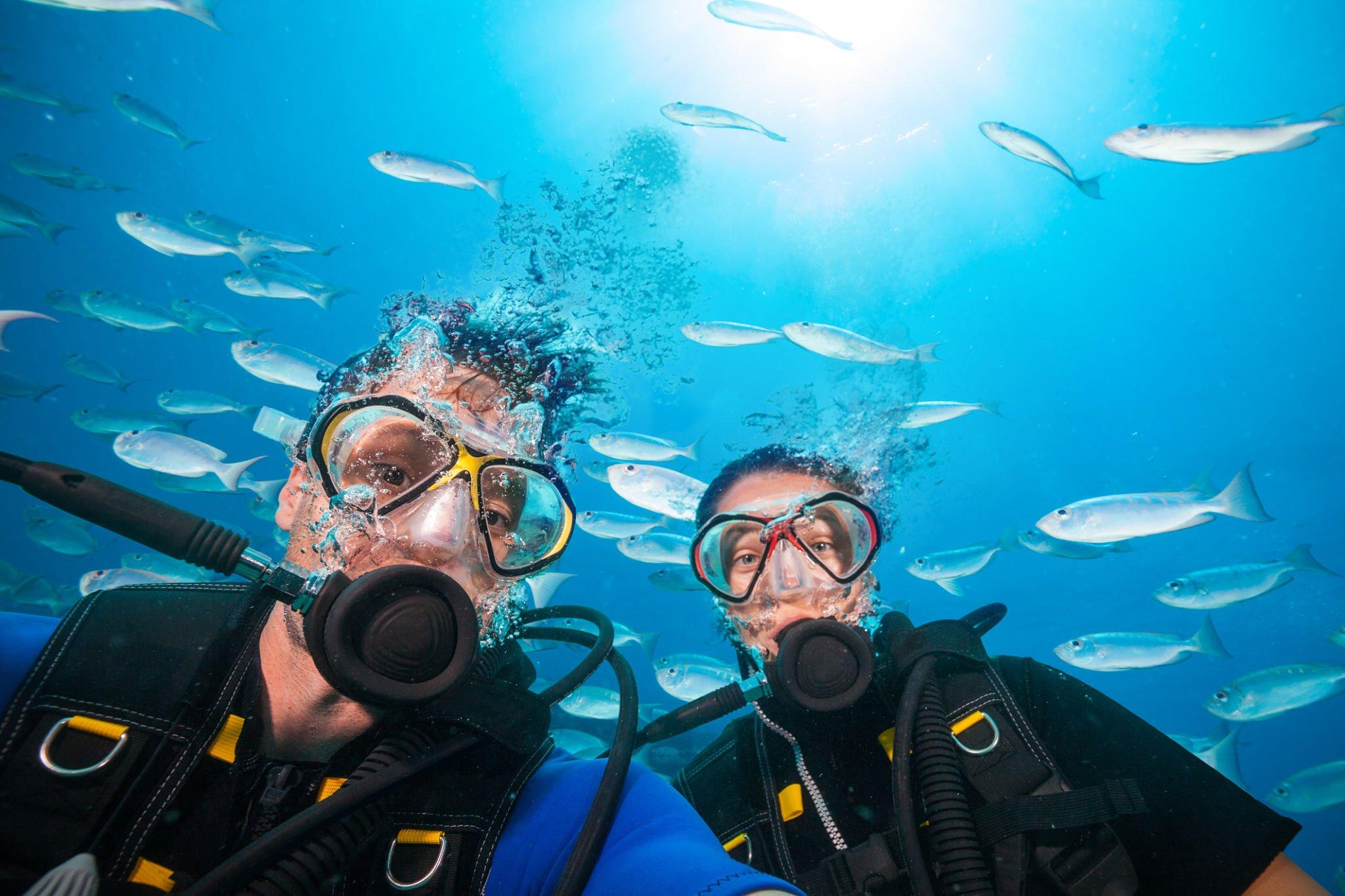 Scuba Diving Full Day Boat Trip for beginners With Lunch - Hurghada