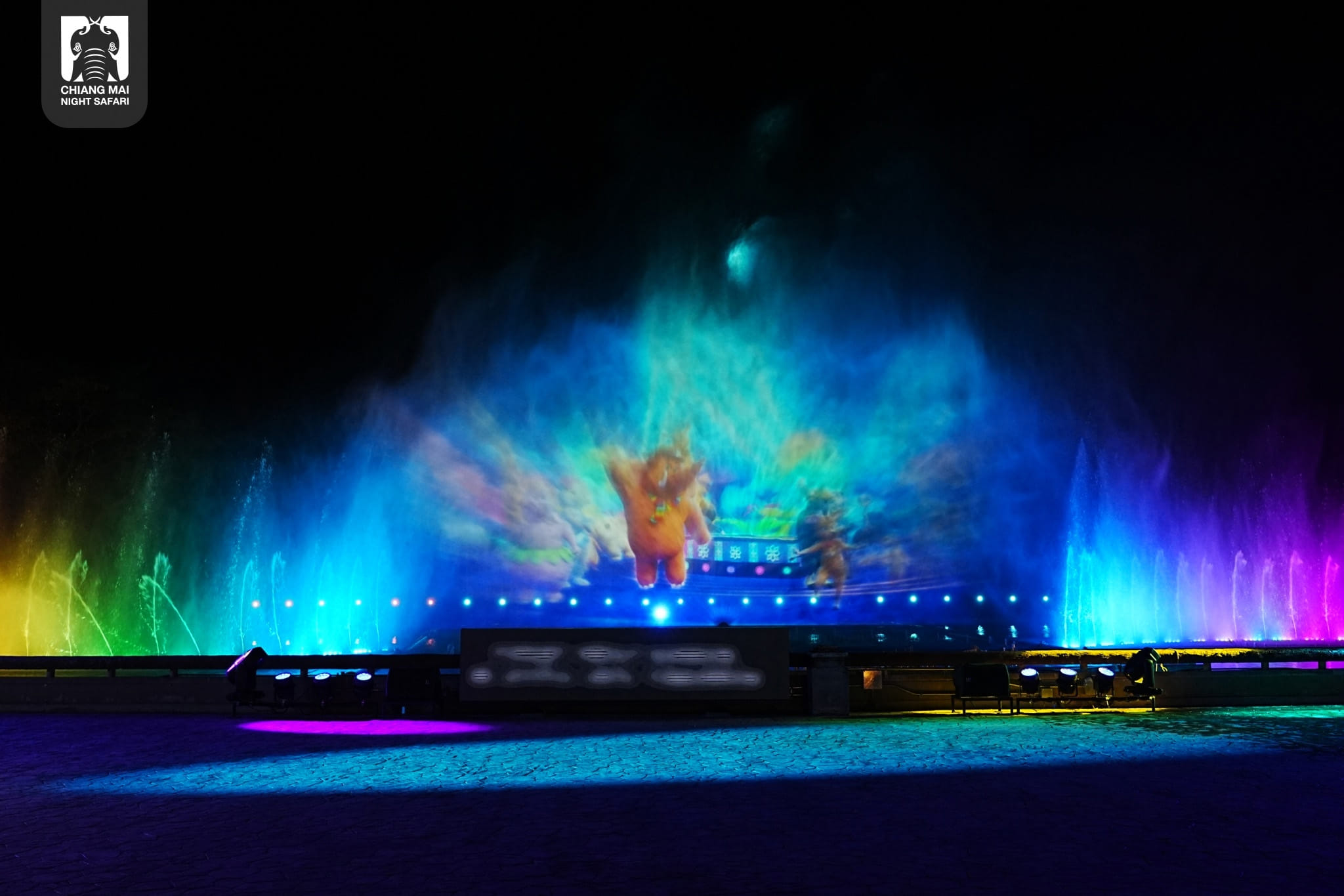 Araksa Tea Experience and Chiang Mai Night Safari Half Day Tour