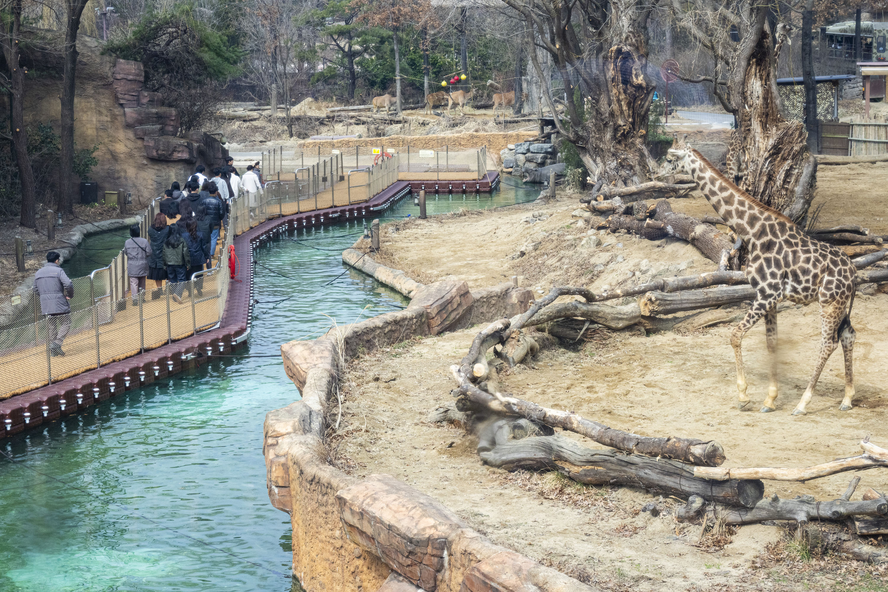 龍仁愛寶樂園門票