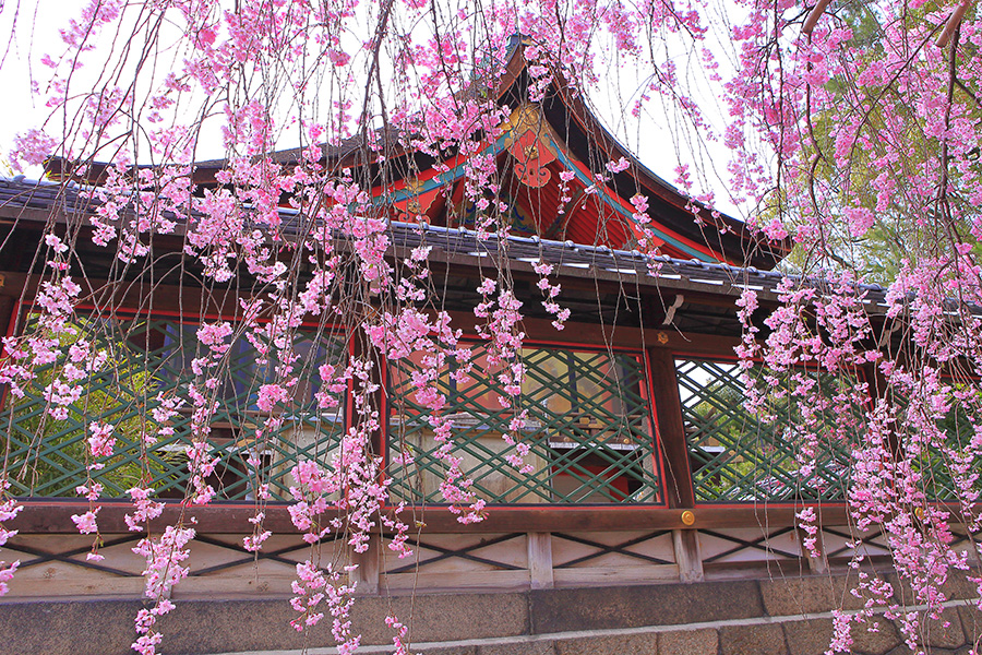 打卡歷史悠久的靈驗聖地——御香宮神社~