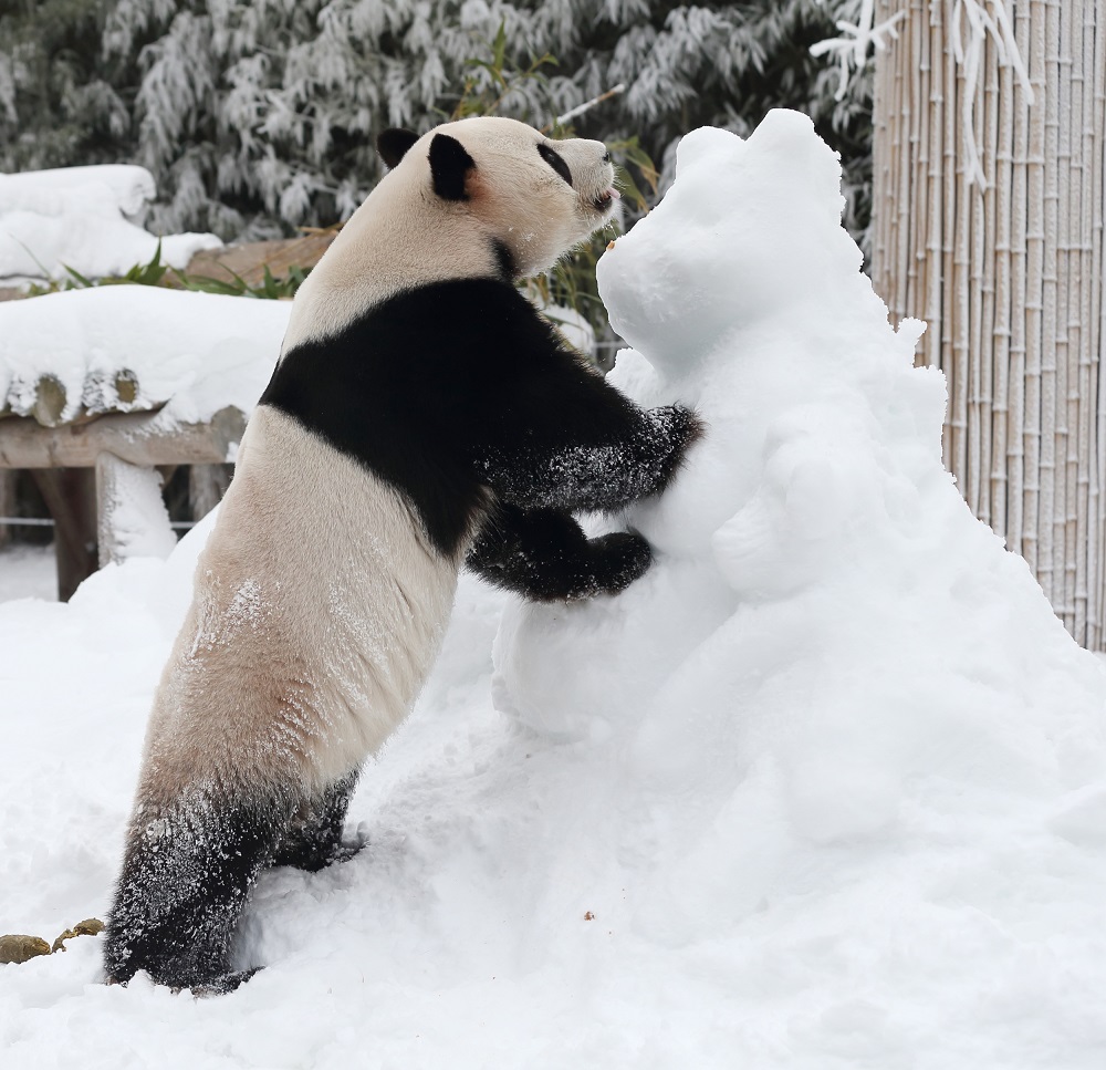 愛寶樂園冬季 愛寶樂園冬季