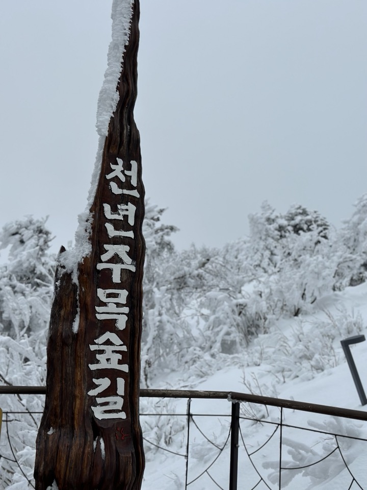 韓國冬季龍平滑雪場一日遊（首爾出發）