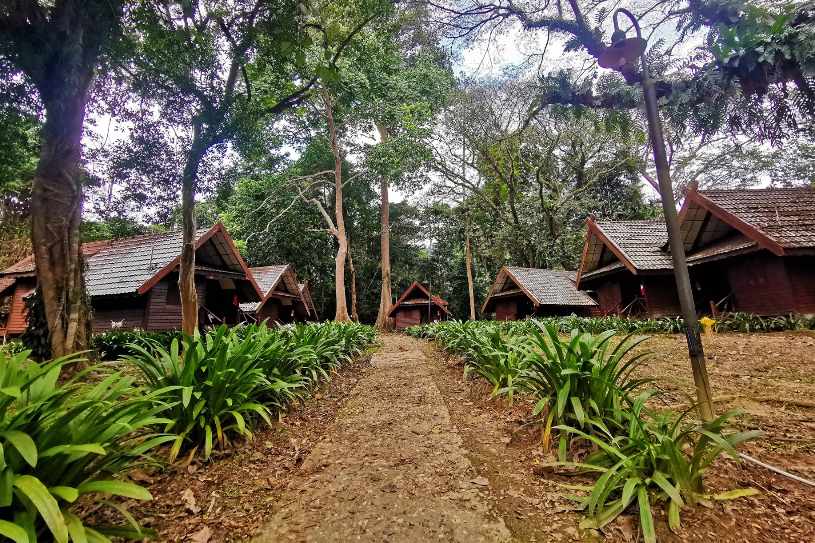 大漢山國家公園（Taman Negara）私人一日遊（吉隆坡出發）