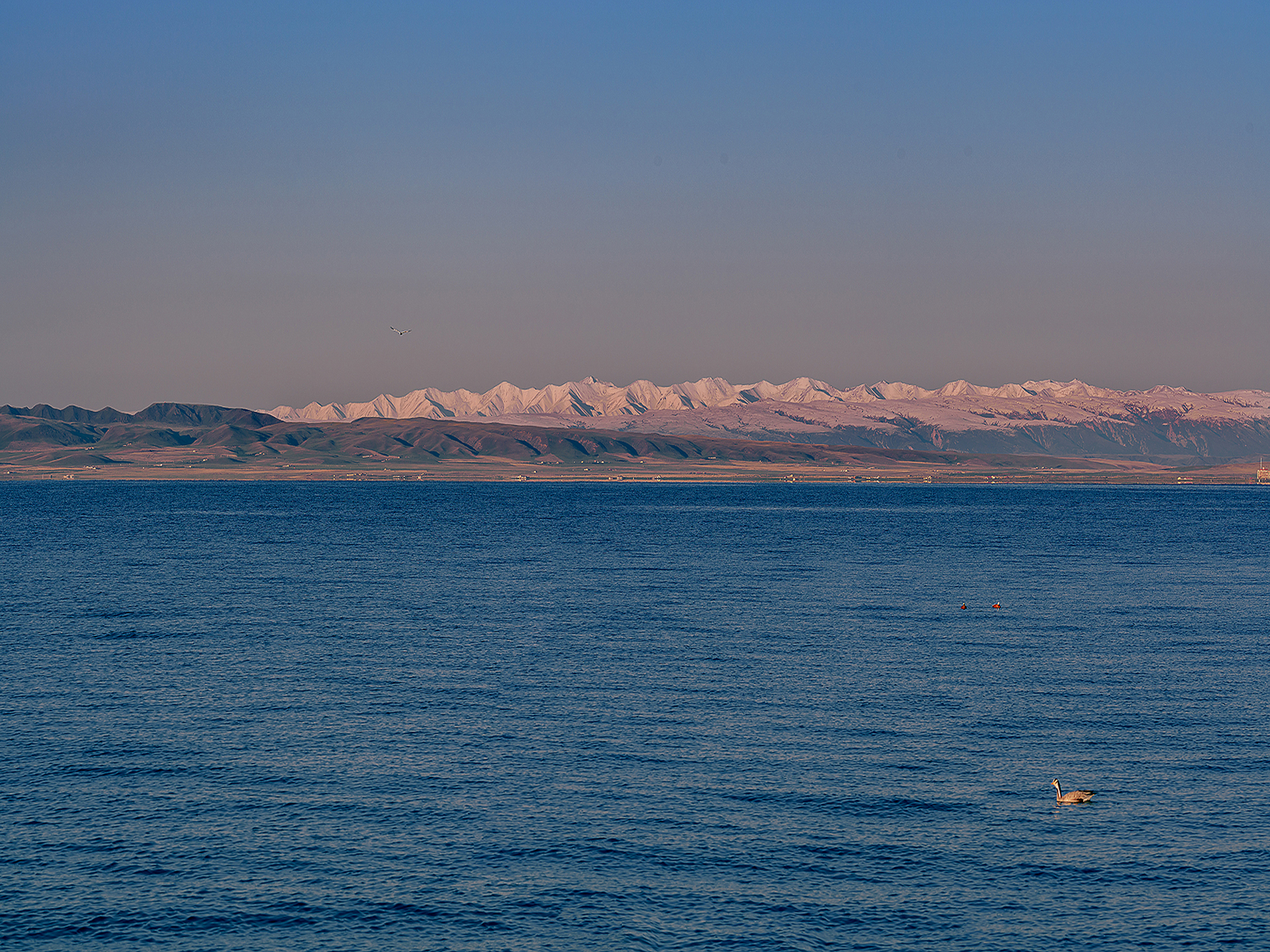 [Private Custom Tour] 5-Day Qinghai Gannan Loop Tour (Preferred for Entry)