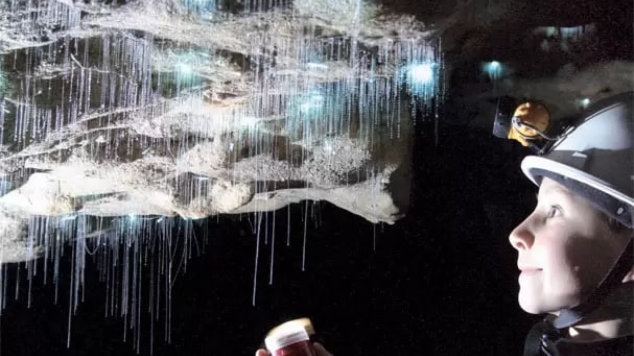 Waitomo Glowworm and Cave Explorer Small Group Tour