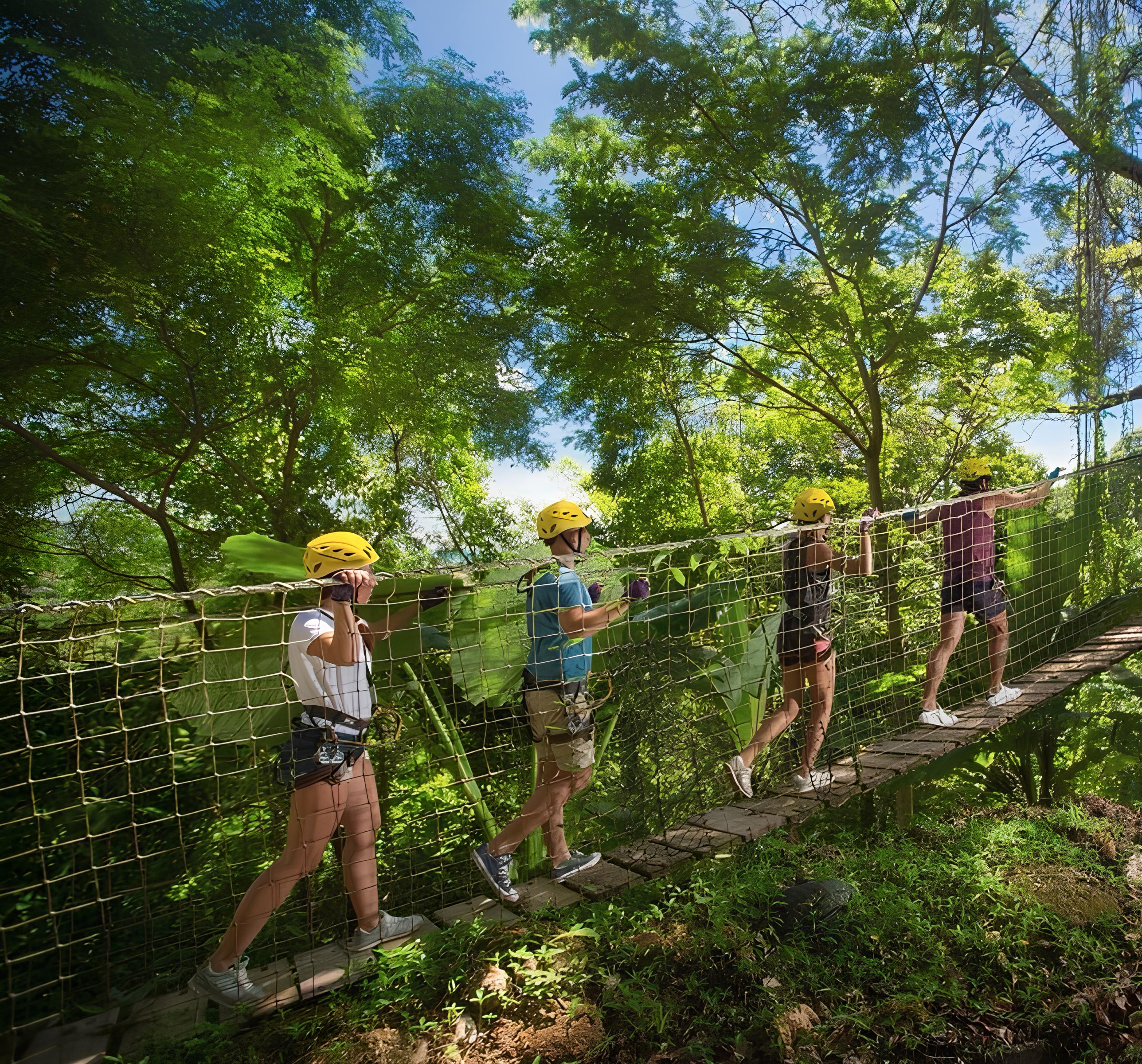 叢林極限冒險滑索和自由落體跳躍公園