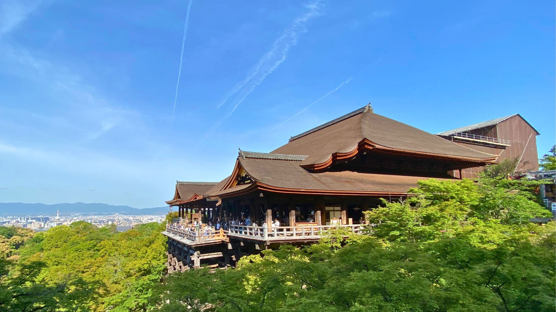 Kyoto Cultural Heritage Day Tour｜Kinkaku-ji Temple, Arashiyama, Sanjusangendo Temple, and Kiyomizu-dera Temple｜Optional Kobe Beef Shabu-shabu Lunch (Departing from Osaka and Kyoto)