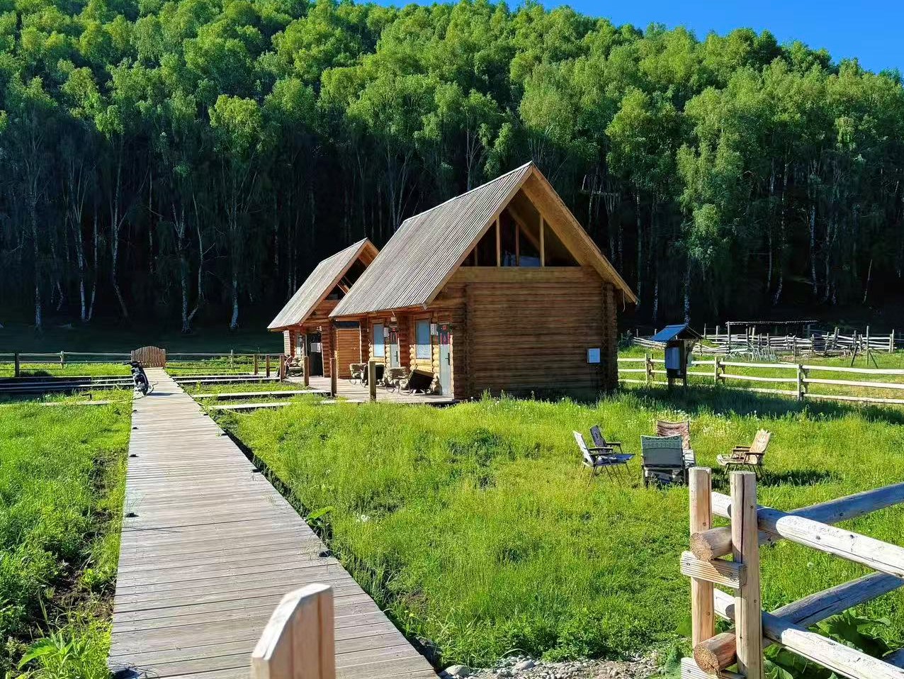成片濃綠白樺林前坐落兩座尖頂原木小屋，木質步道直通屋前。草坪擺放休閒桌椅，原木圍欄環繞院落，乾淨清新，是禾木景區適合休憩打卡的森林治癒民宿小屋