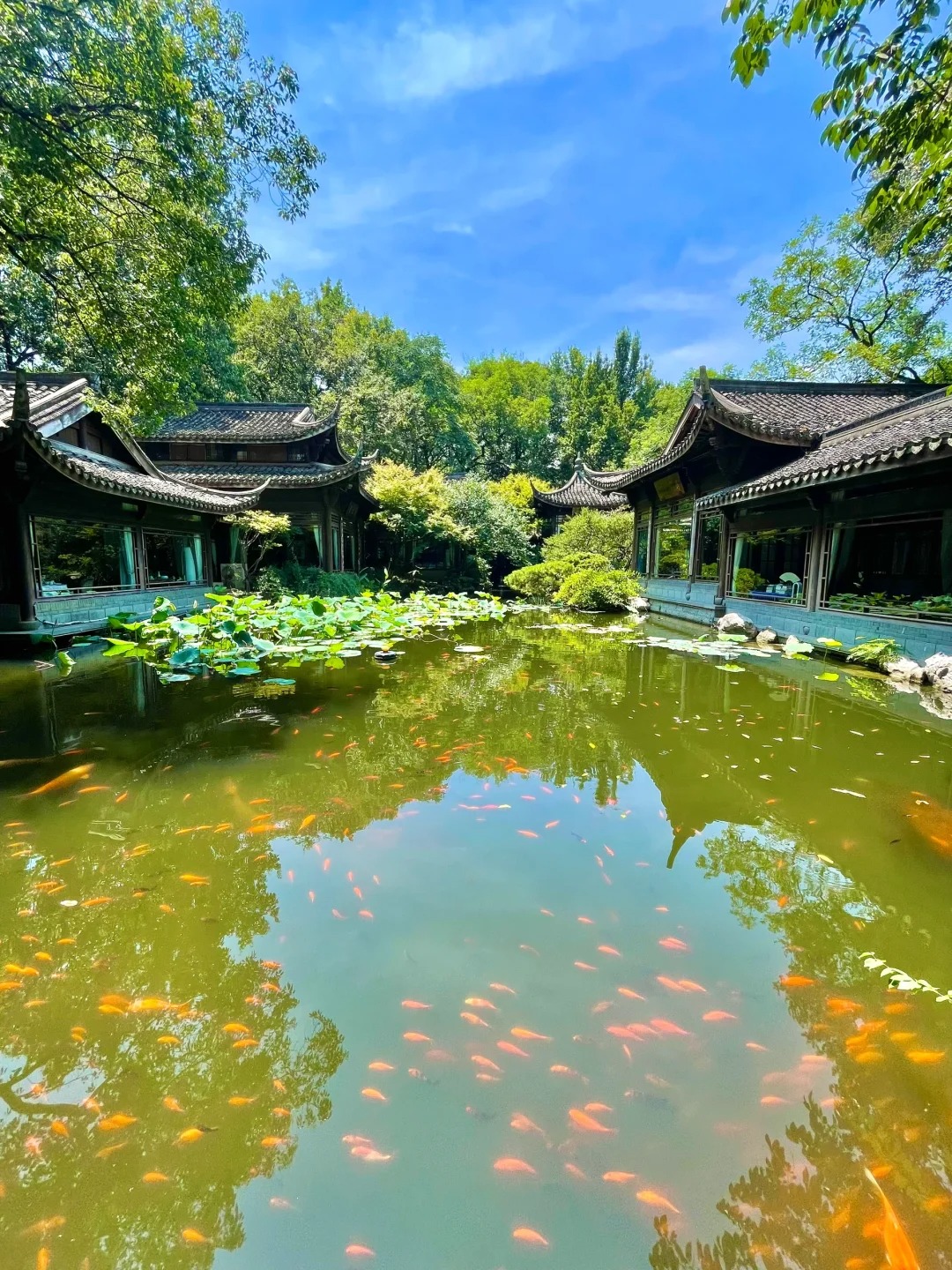 杭州西湖畫舫船登島+非遺畫扇體驗經典半日遊（賞三潭印月+花港觀魚+湖畔大學+烏龜潭+狀元坊）