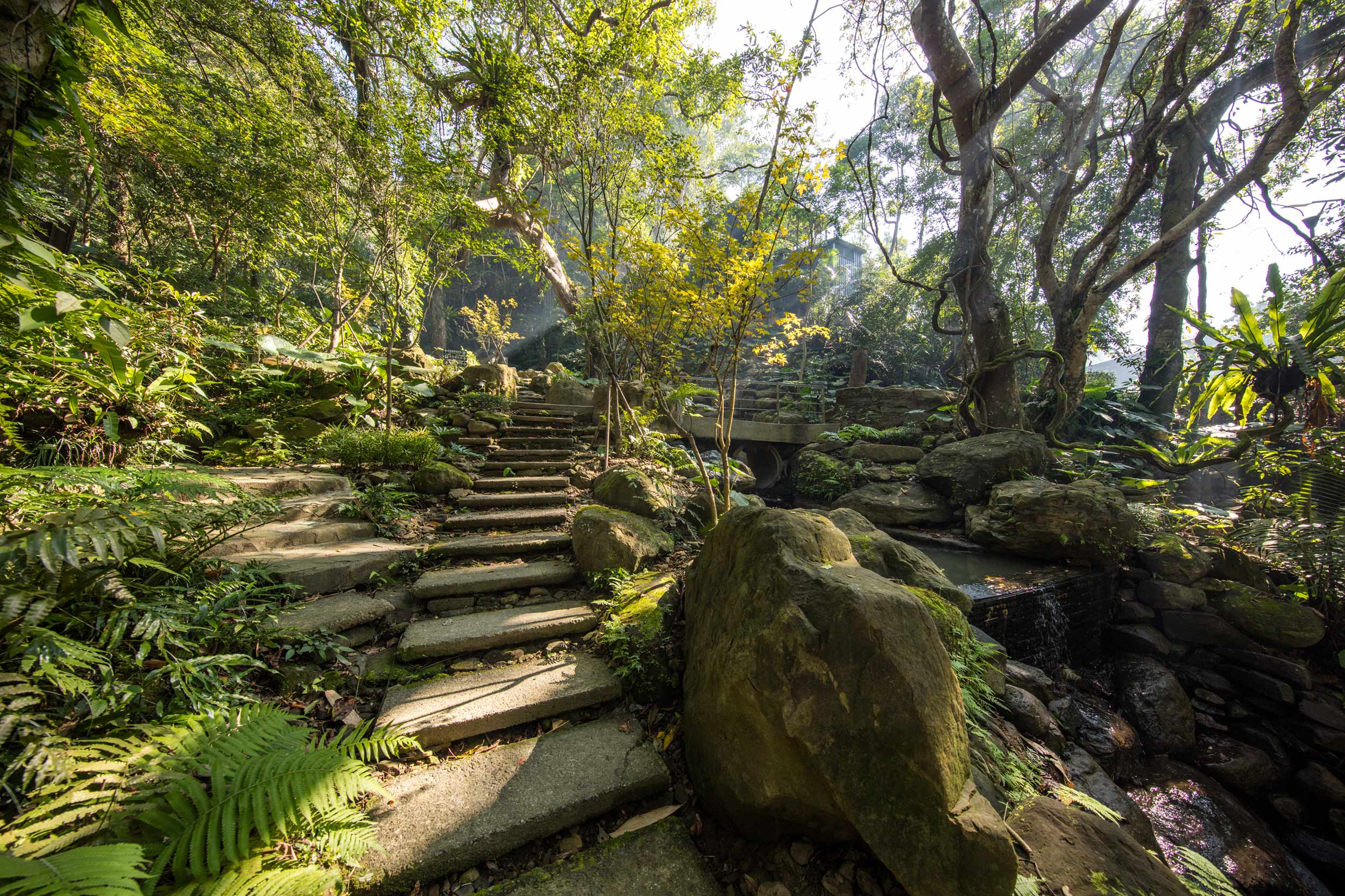 The Great Roots Forestry Spa Resort In Sanxia New Taipei